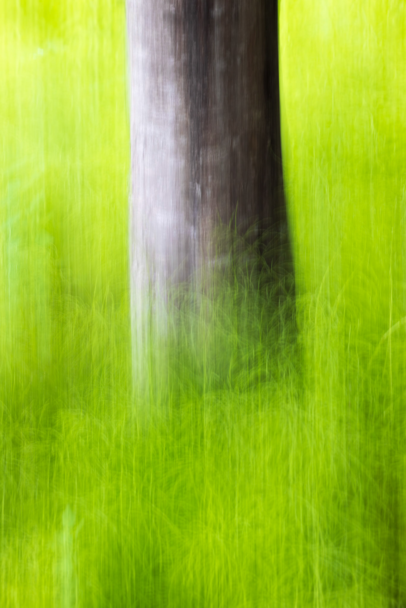 Limelight (Motion Blur)