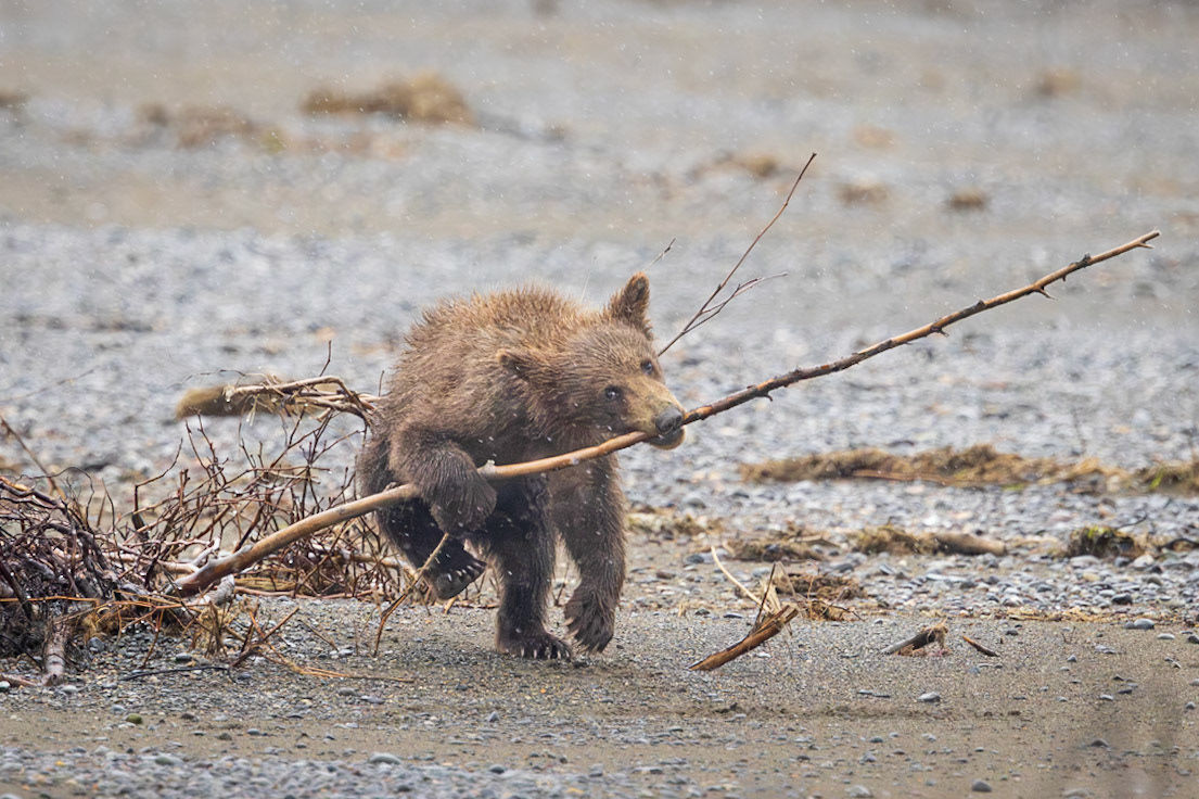 Found a stick!