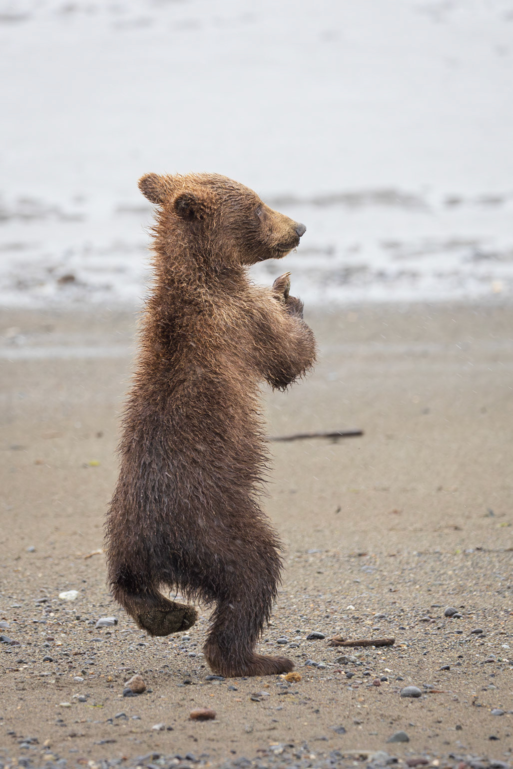 Dancing a little jig