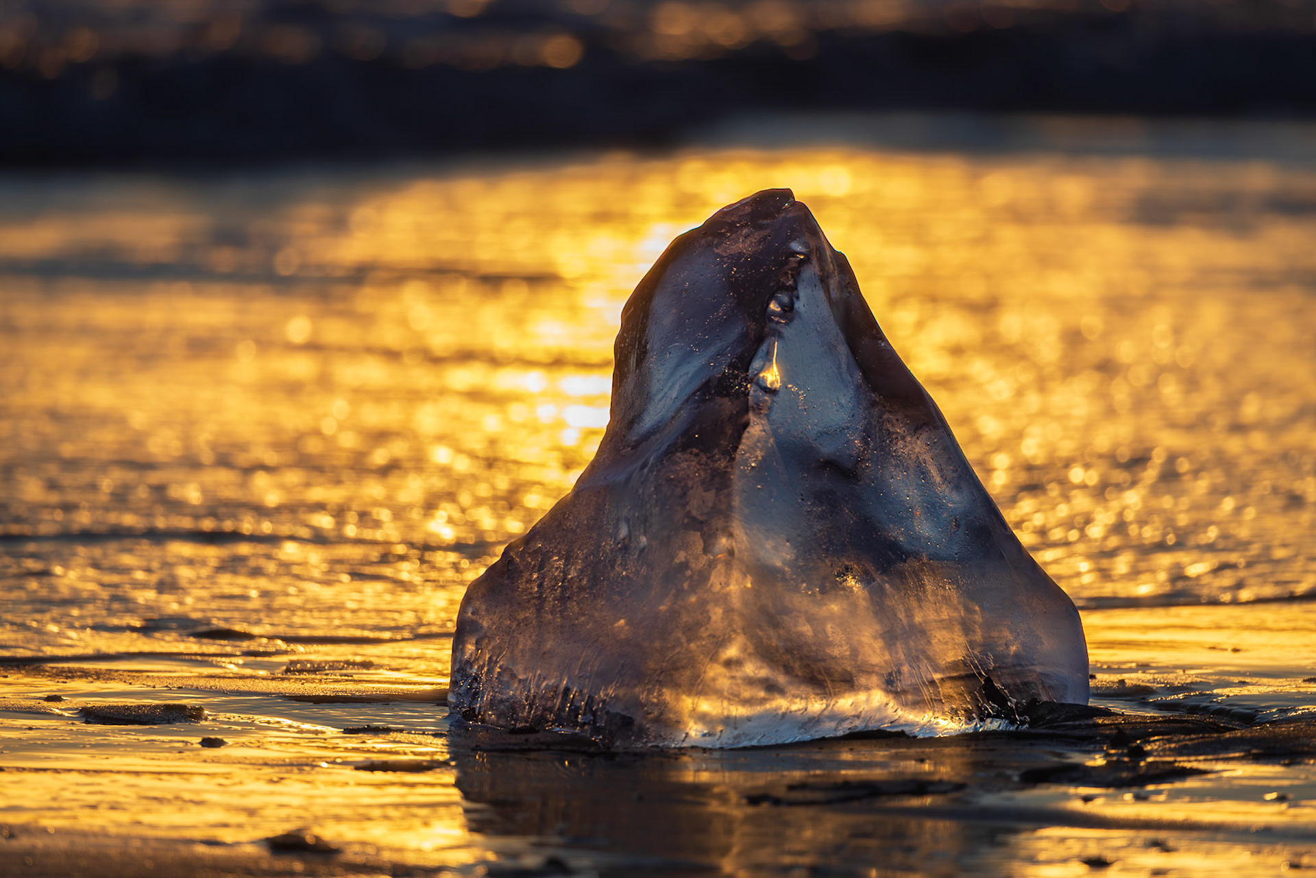 Sunset Lit Ice