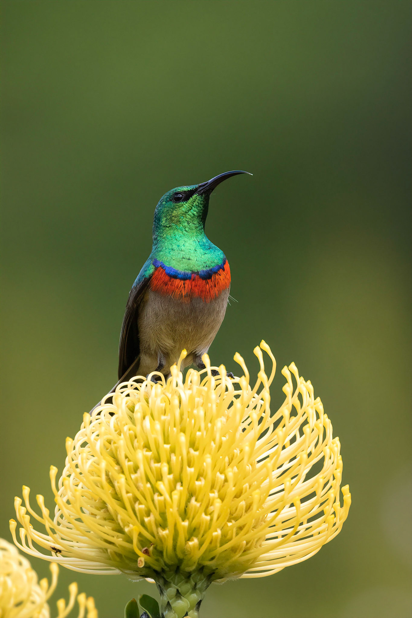 Cape Town, South Africa