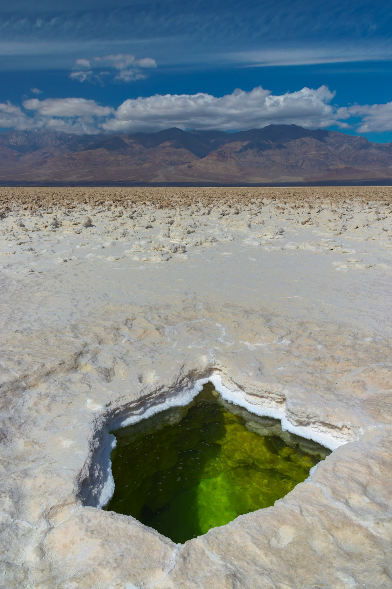 Salt/Saline Pool
