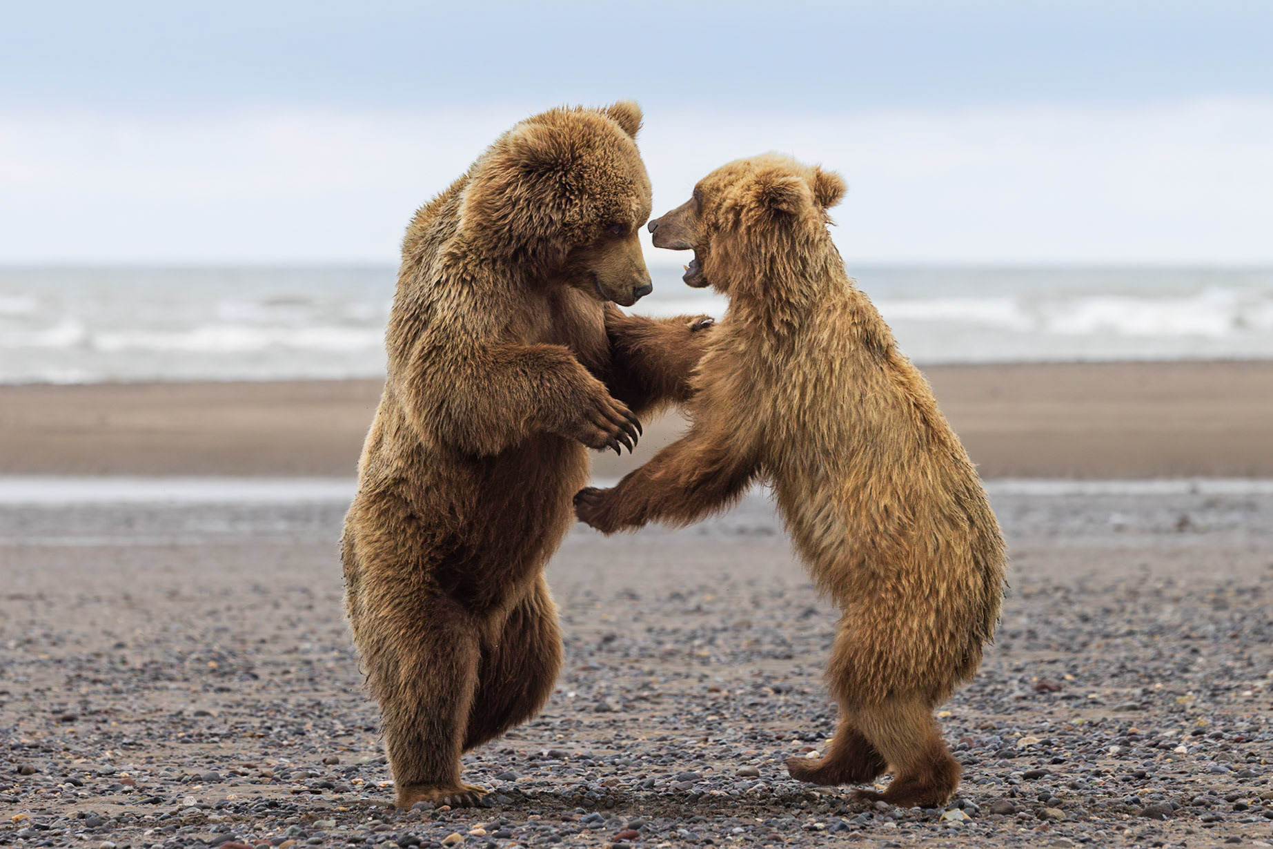 Dance Lessons