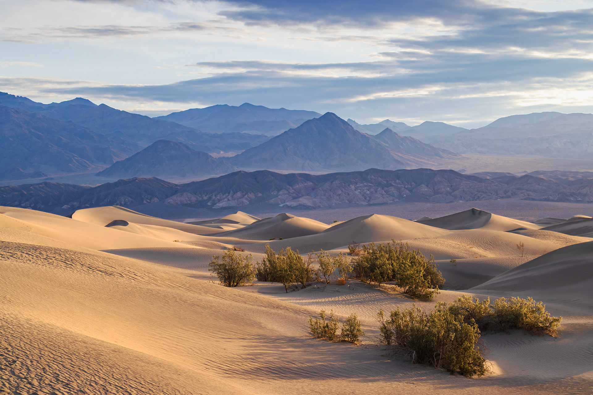 Dunes in Late Afternoon