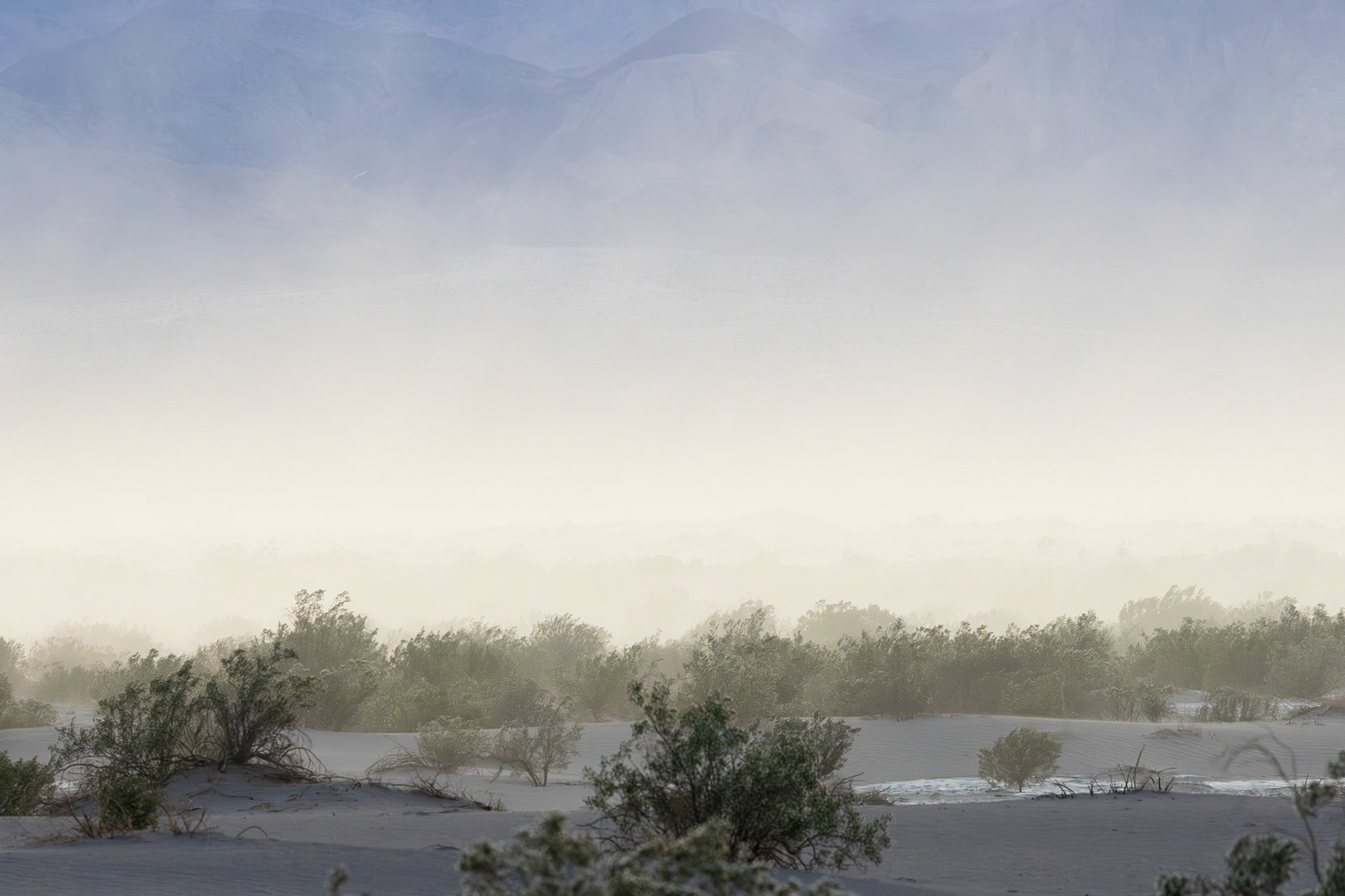 Sandstorm