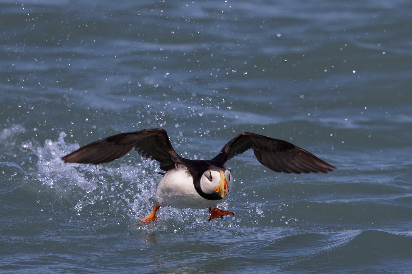 Taking Off