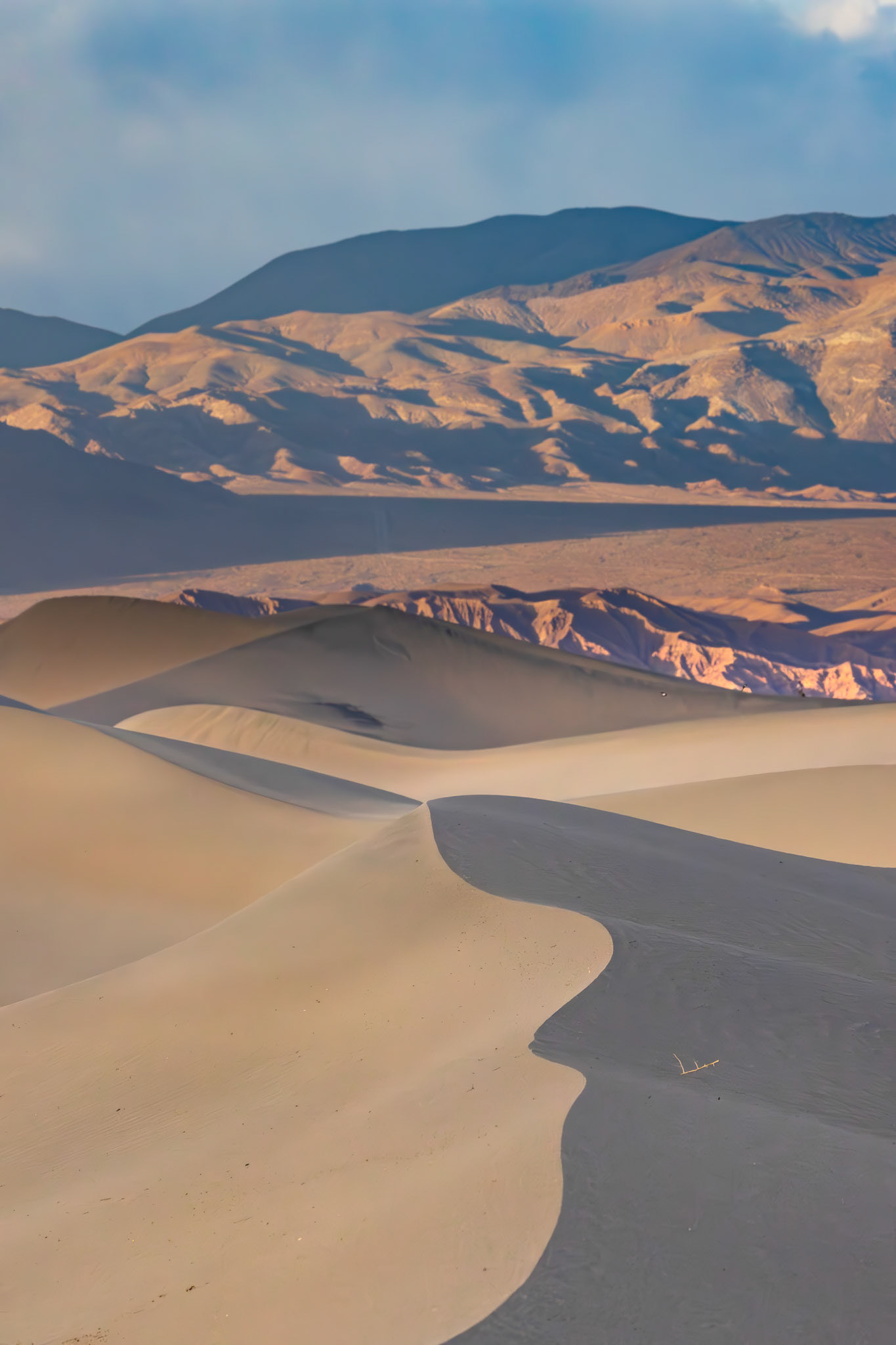 Late Afternoon Light on the Dunes