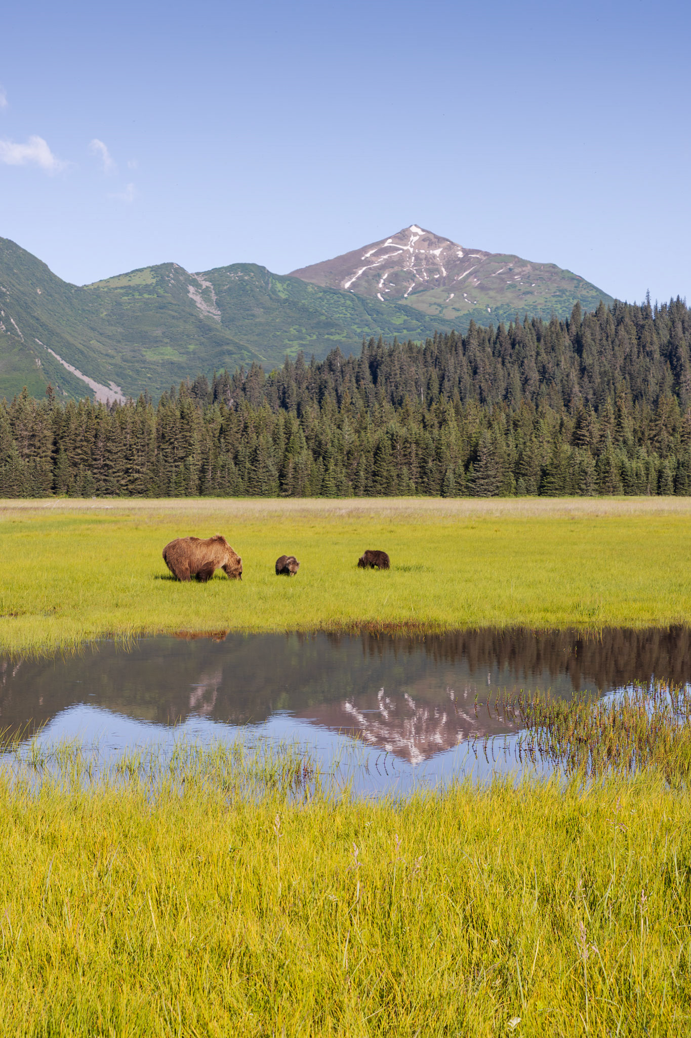 Mountain reflection