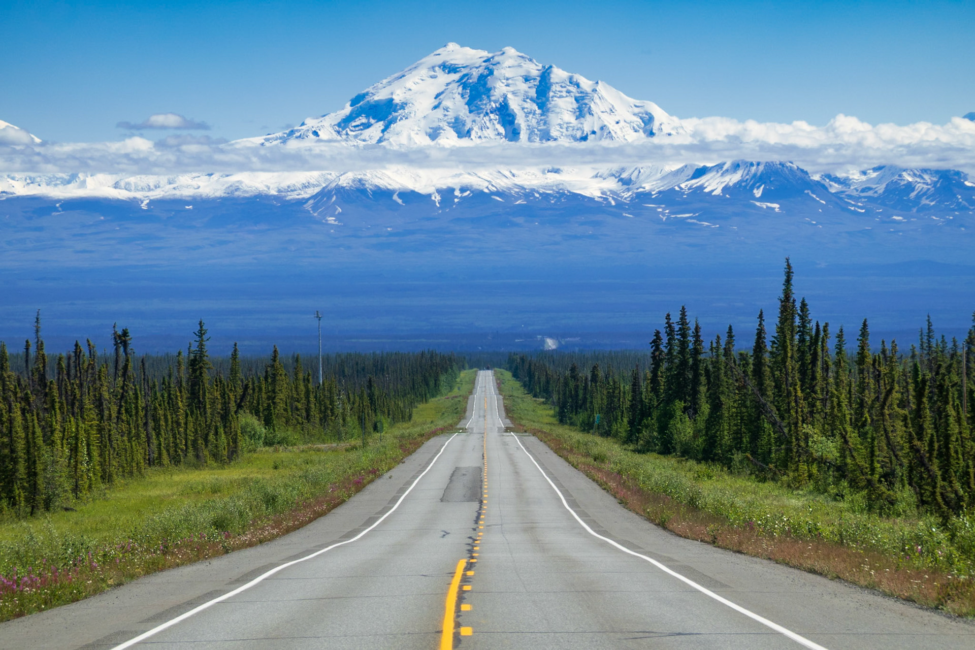 The road to Mount Drum