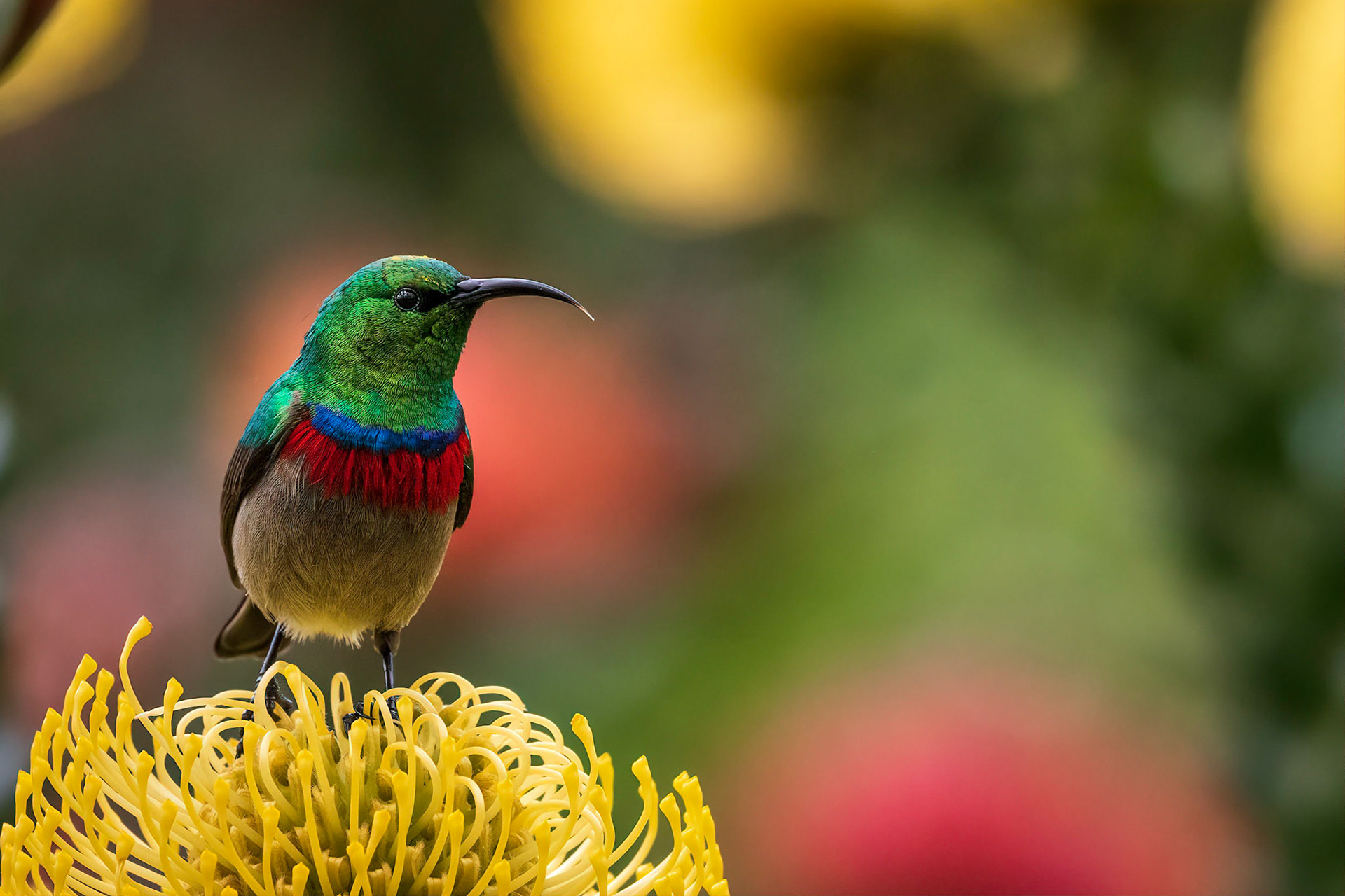 Cape Town, South Africa