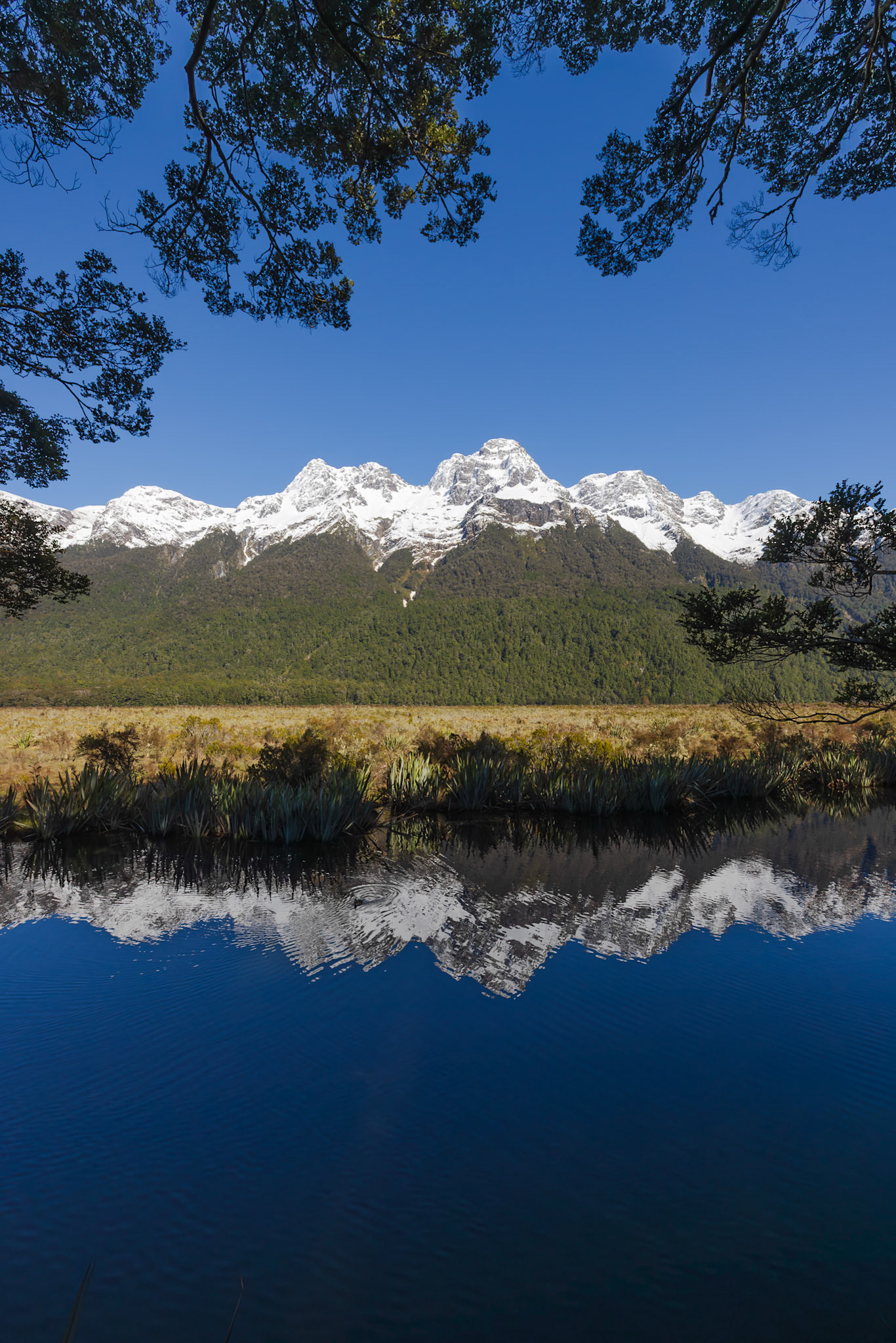 Mirror Lakes