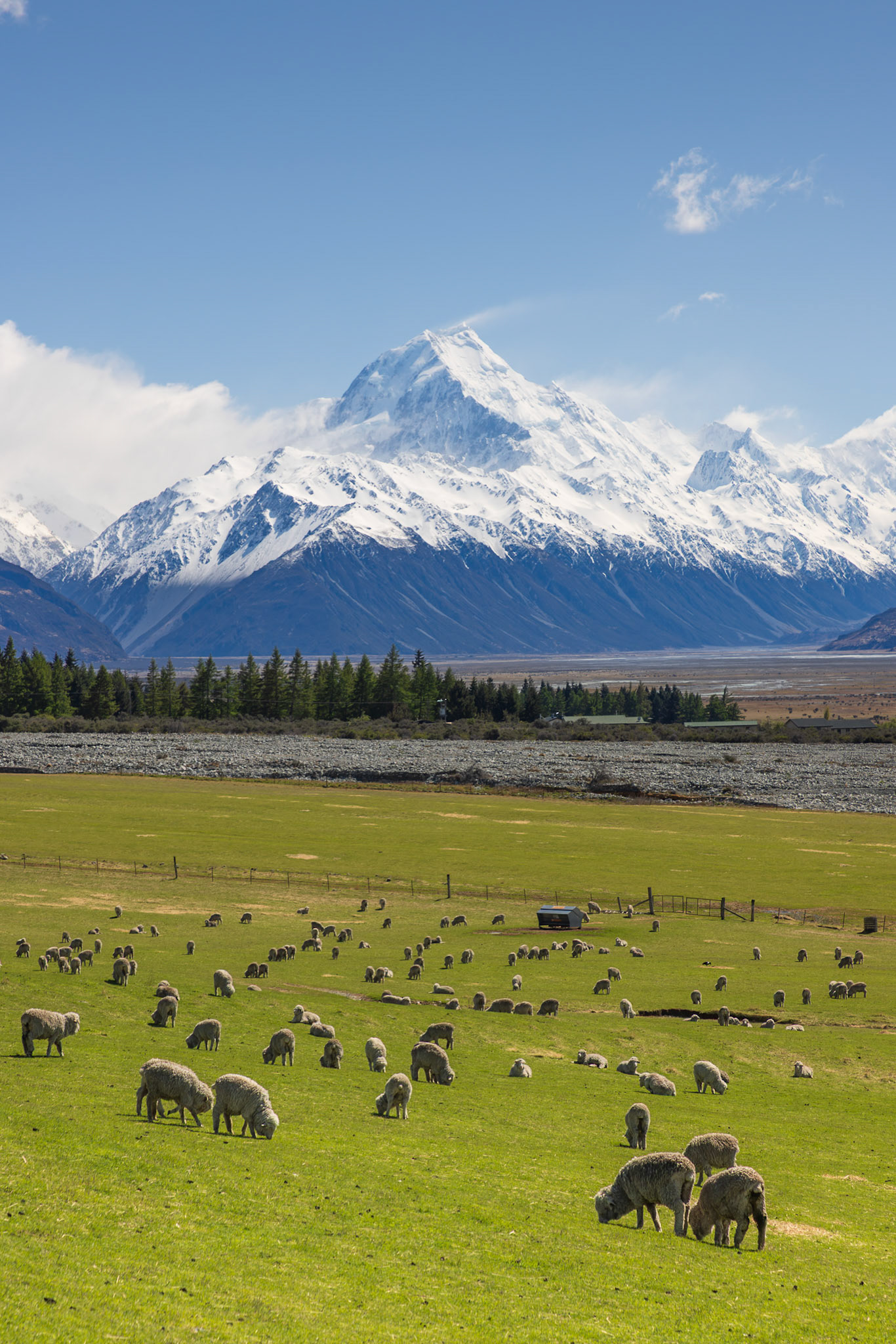 Iconic New Zealand