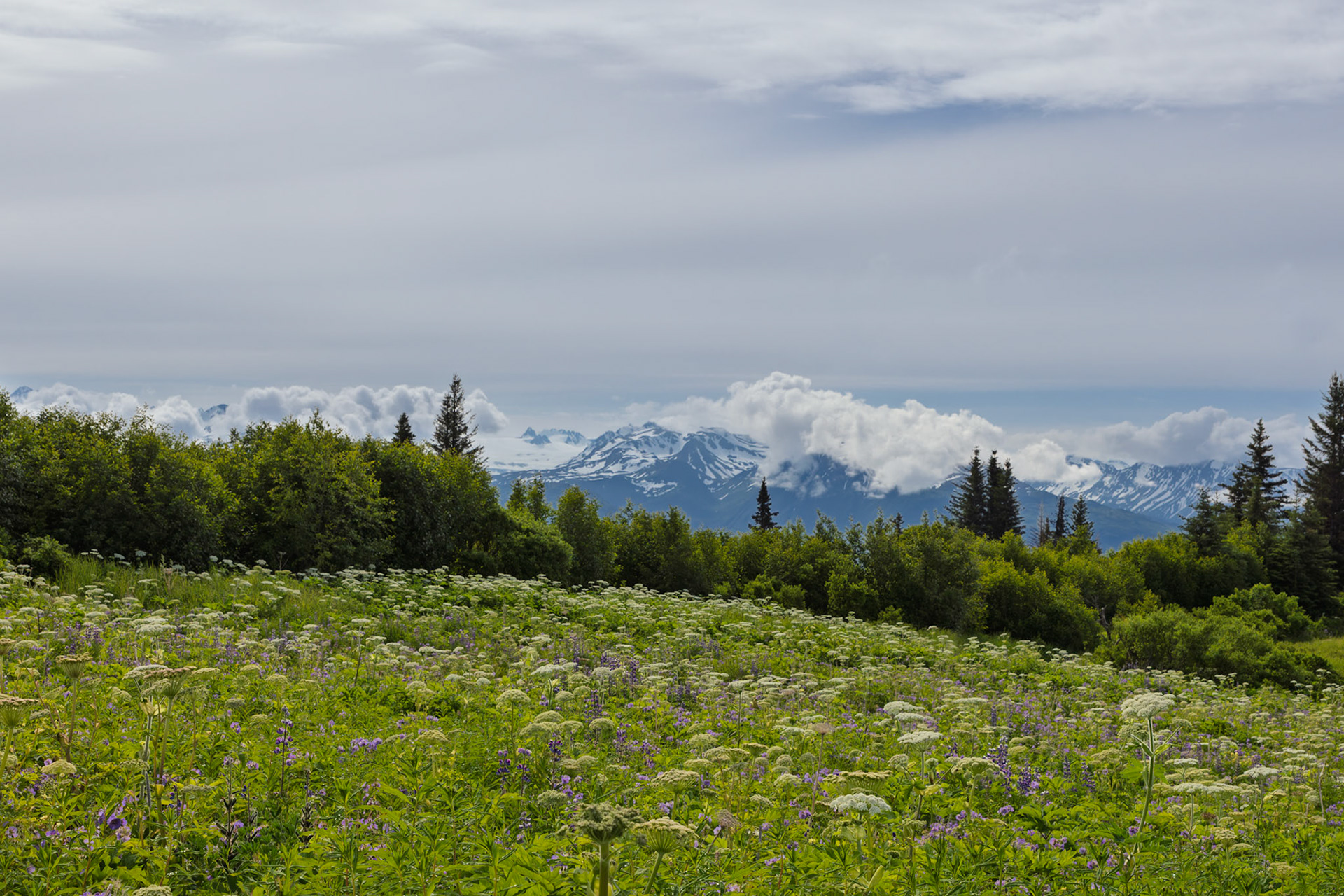 Eveline State Recreation Site