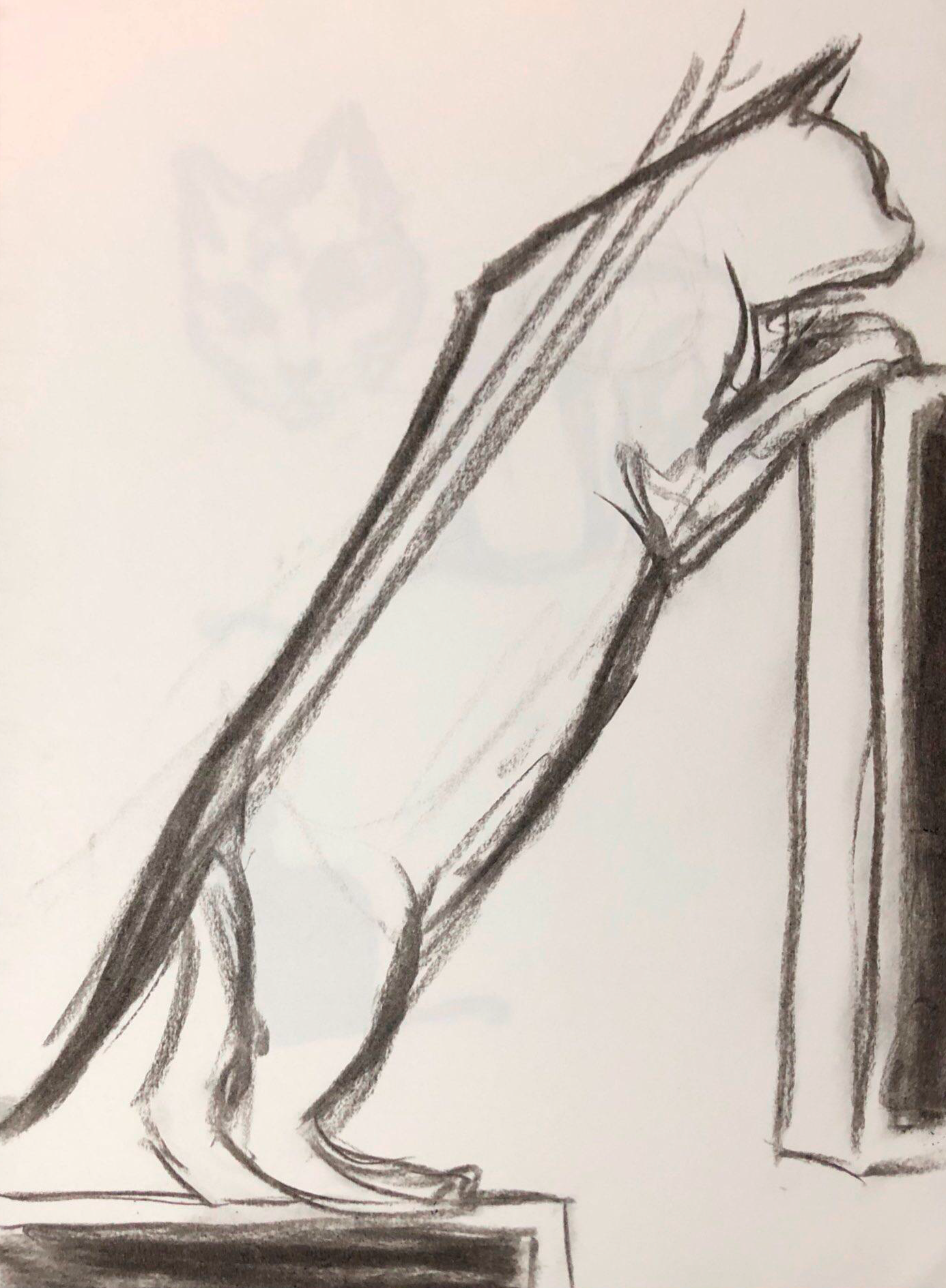 Charcoal (2020)