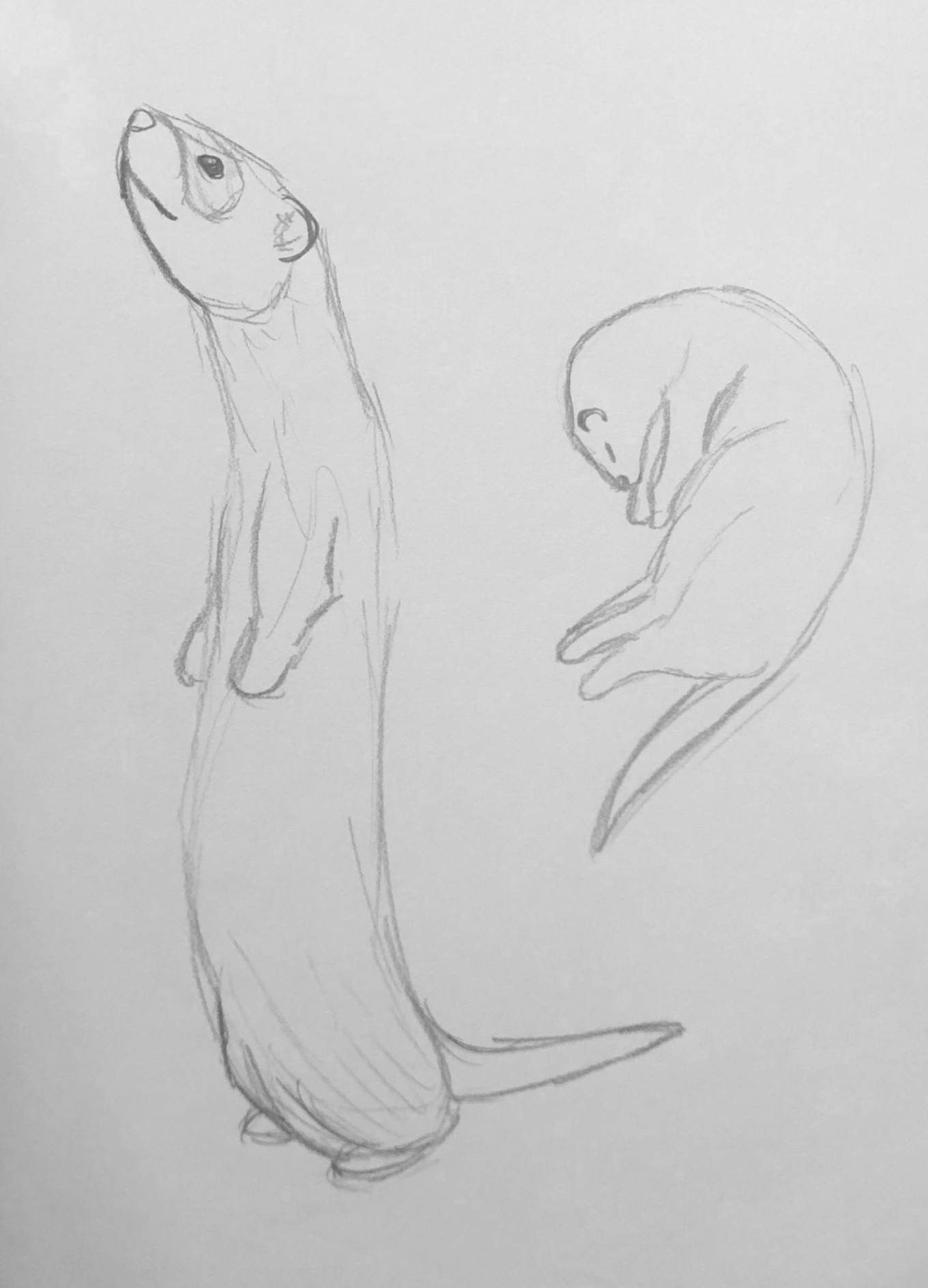 A3 Pencil (2020)
