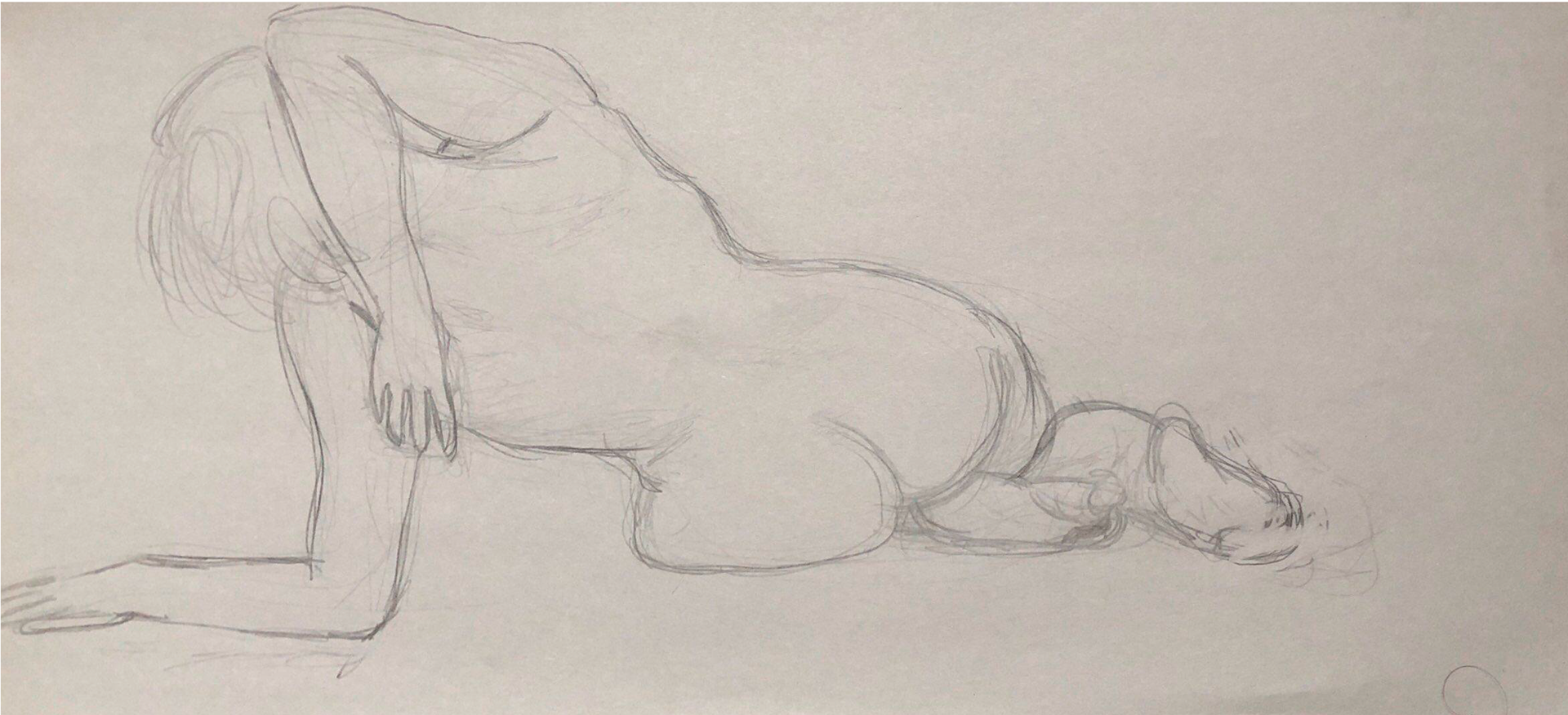 20cm x 42cm Pencil (2019)