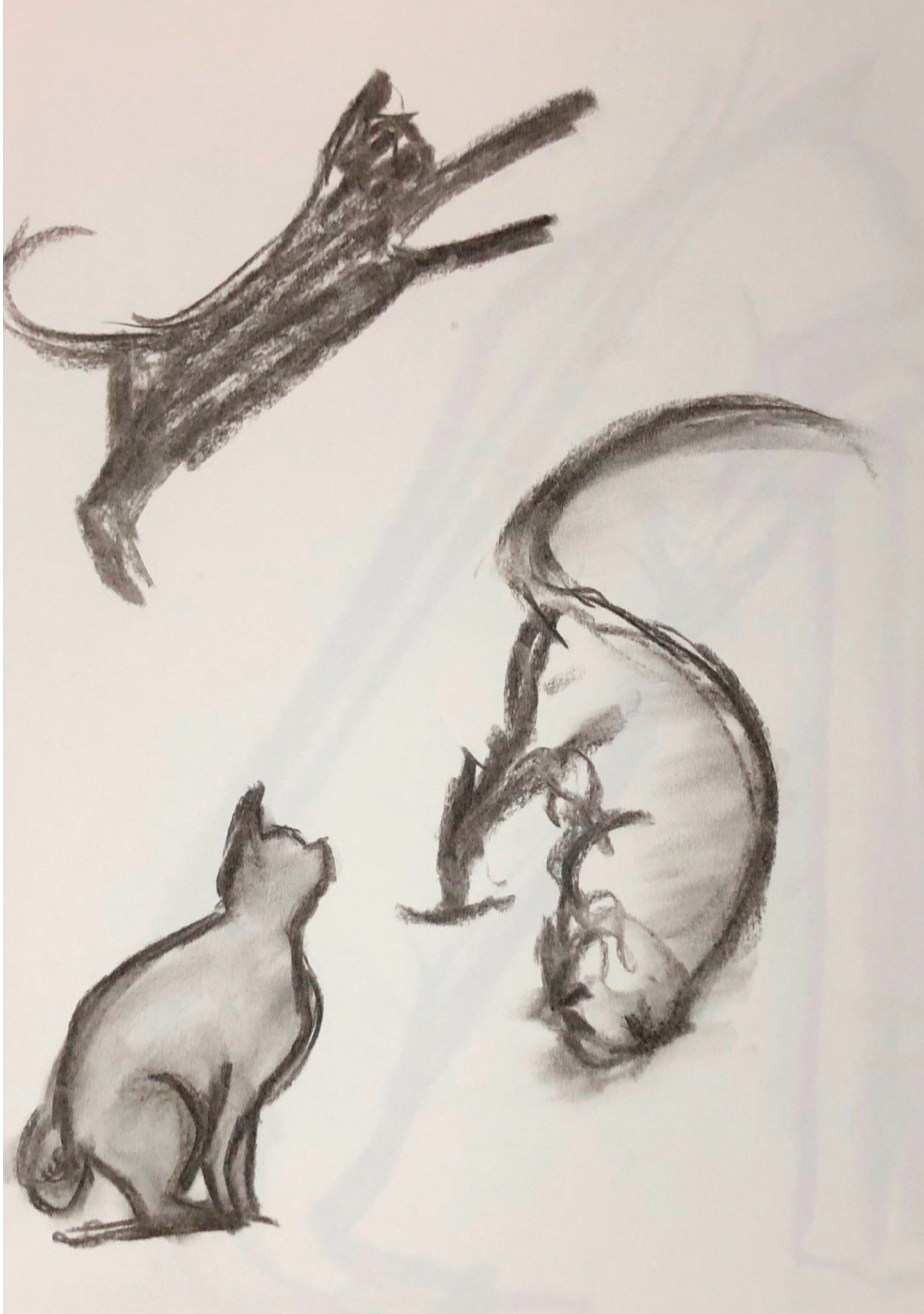 Charcoal (2020)