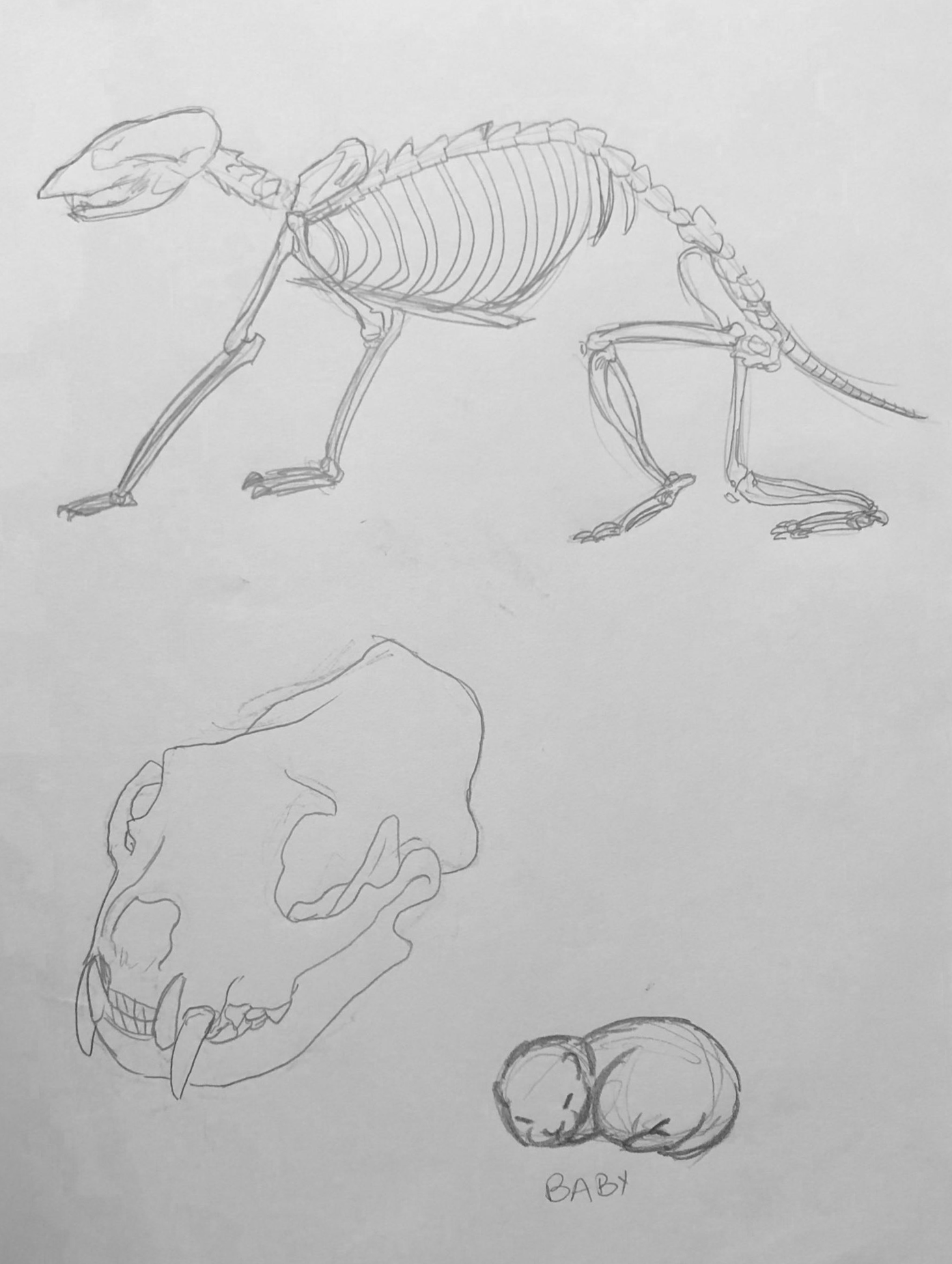 A3 Pencil (2020)
