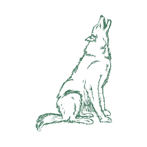 Rabbit - illustrated and drawn by hand in pen & ink by Dan Flores