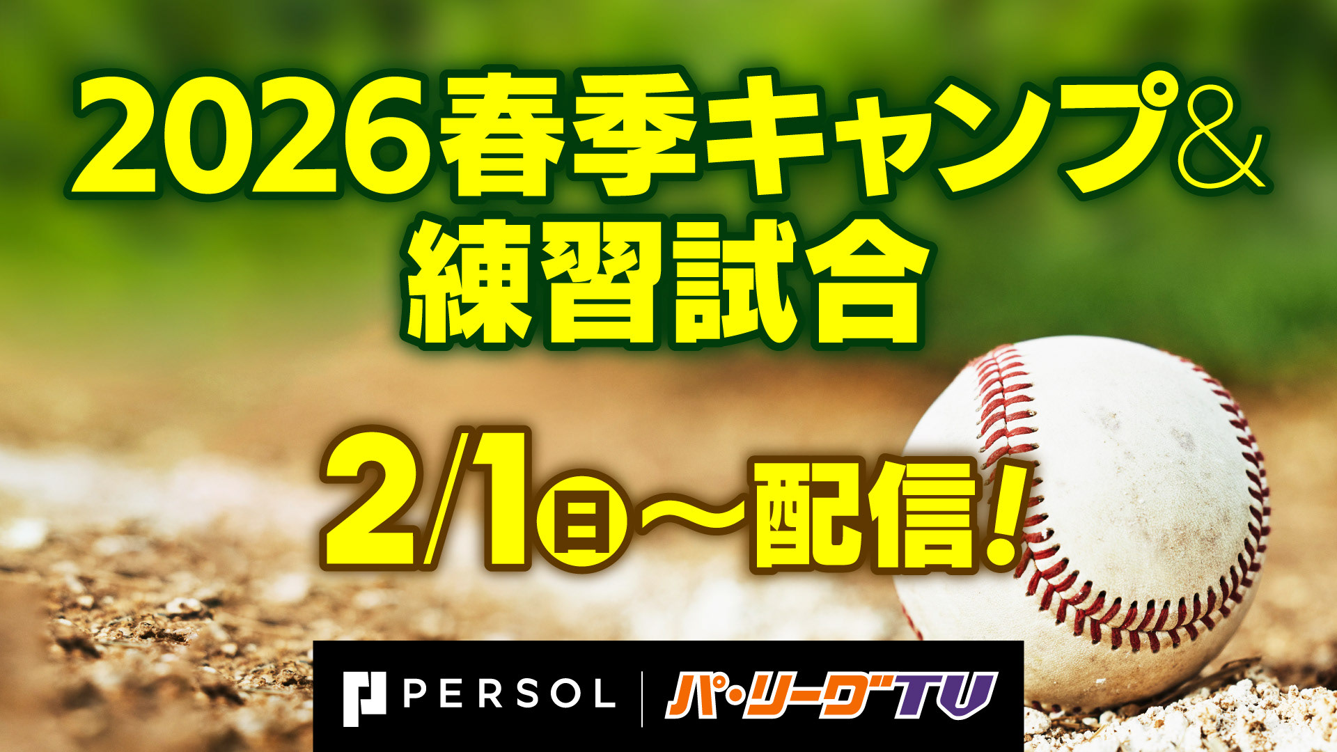 Web Banner