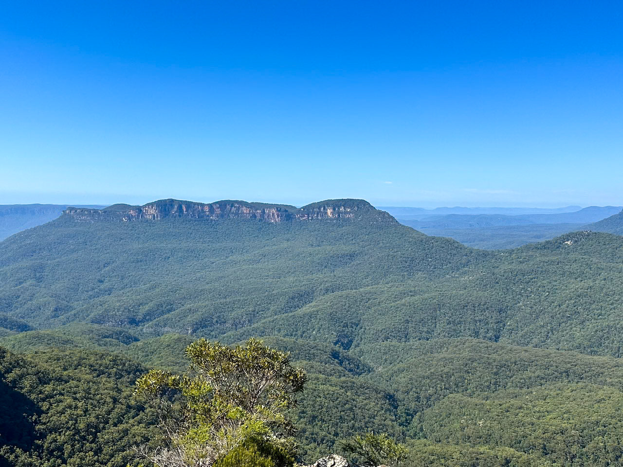 Blue mountains