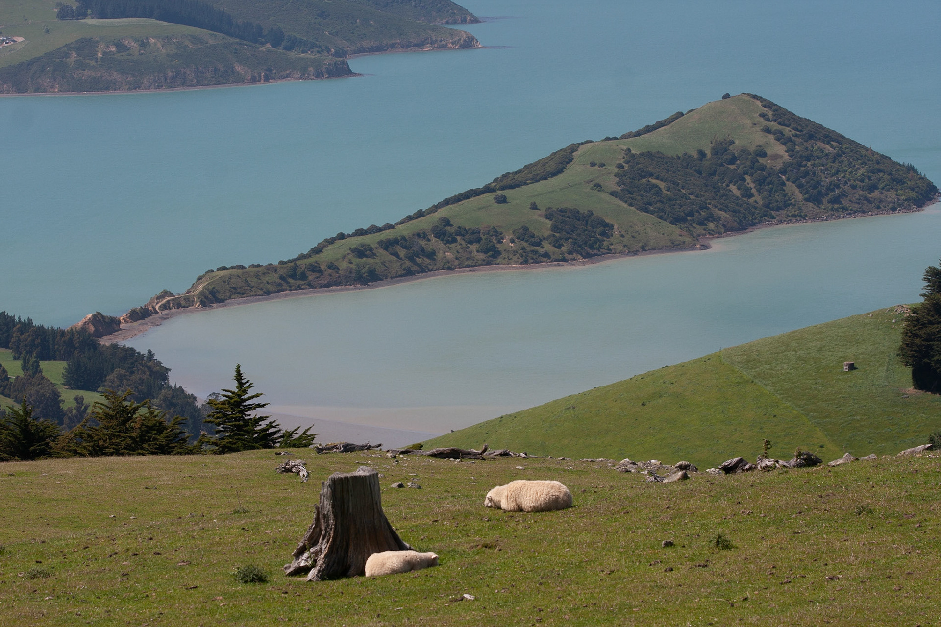 Akaroa