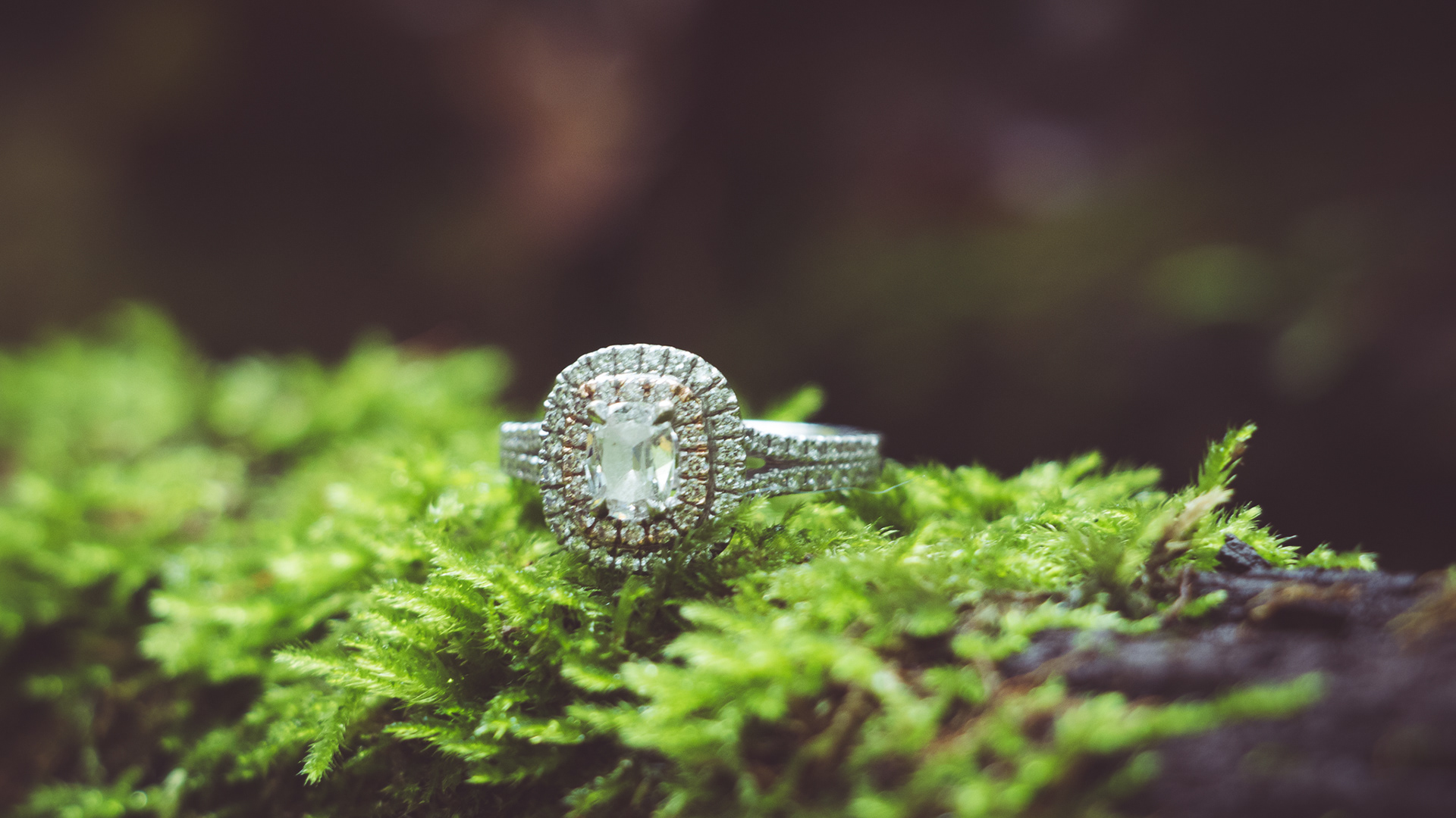 Engagement Shoot (self-shot)
