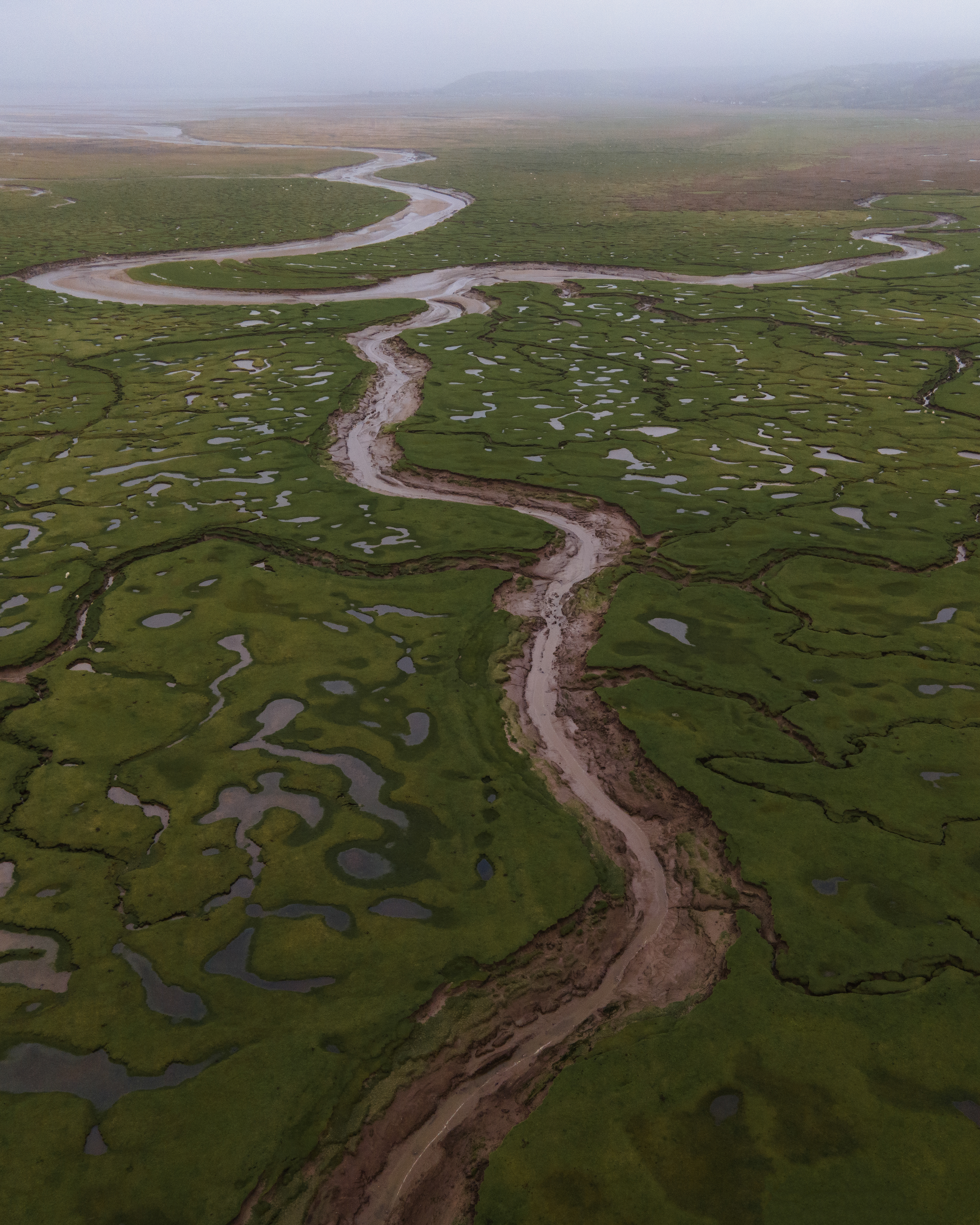 The Earth's Bloodstream (wales)