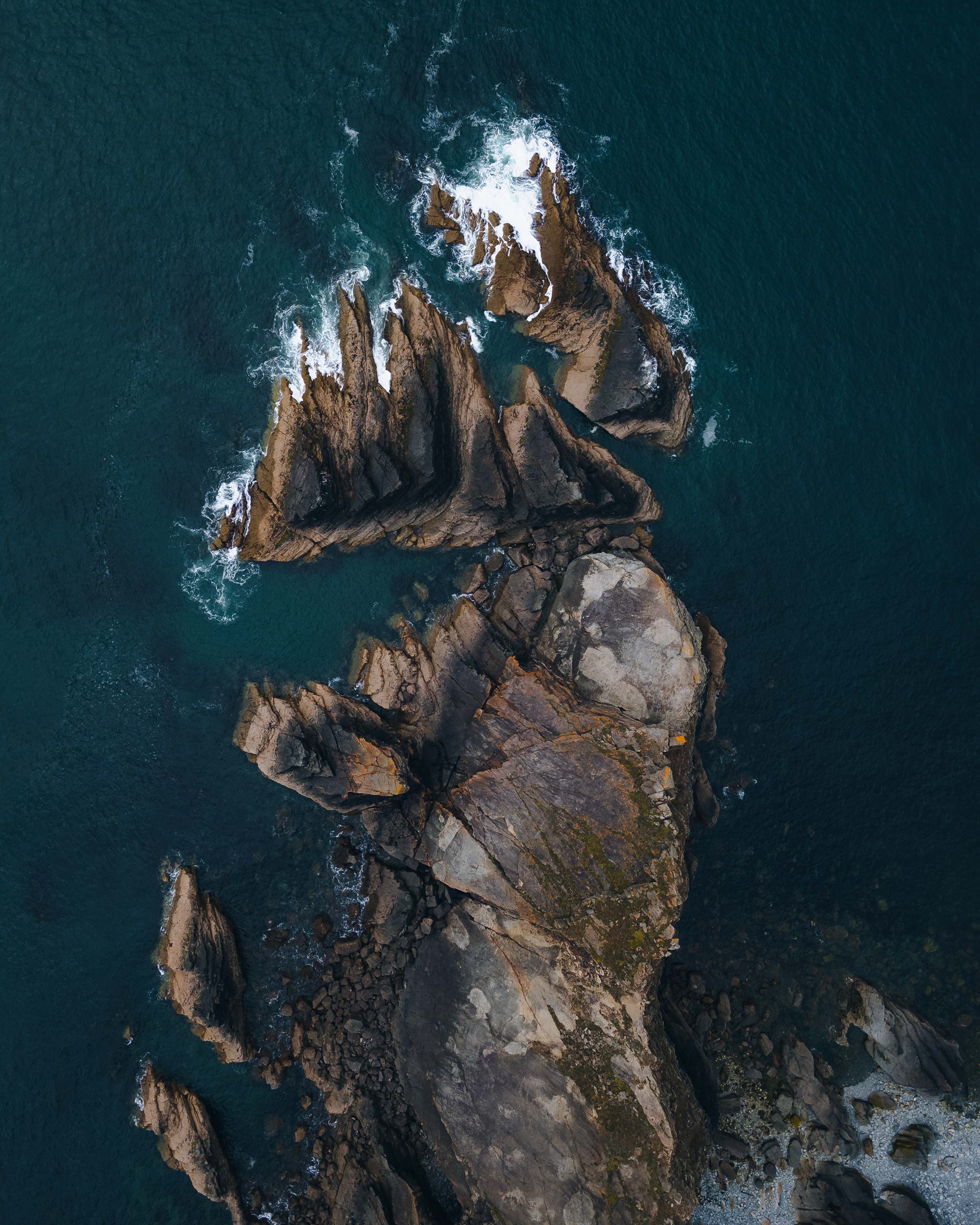 The Coast