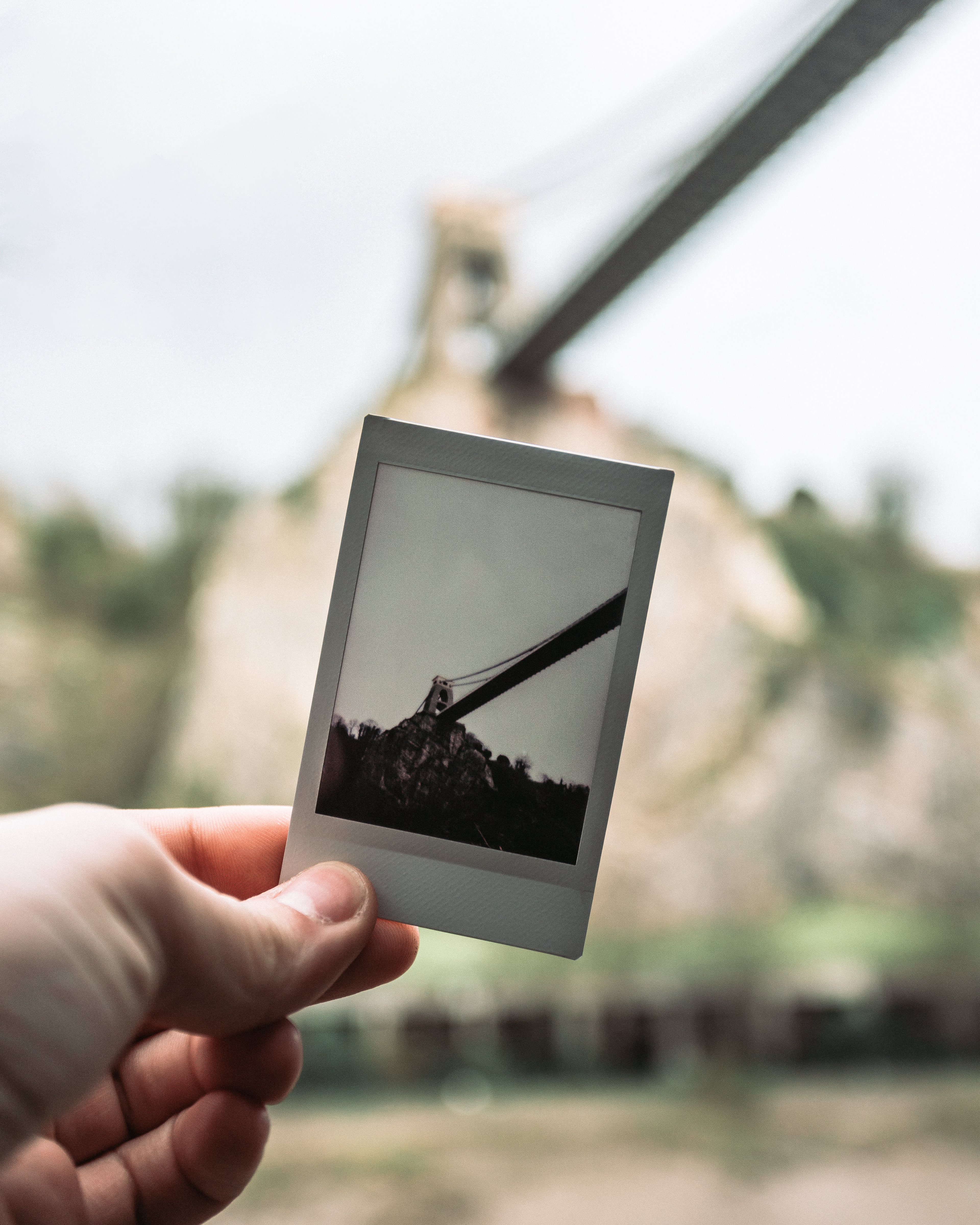 bristol polaroid
