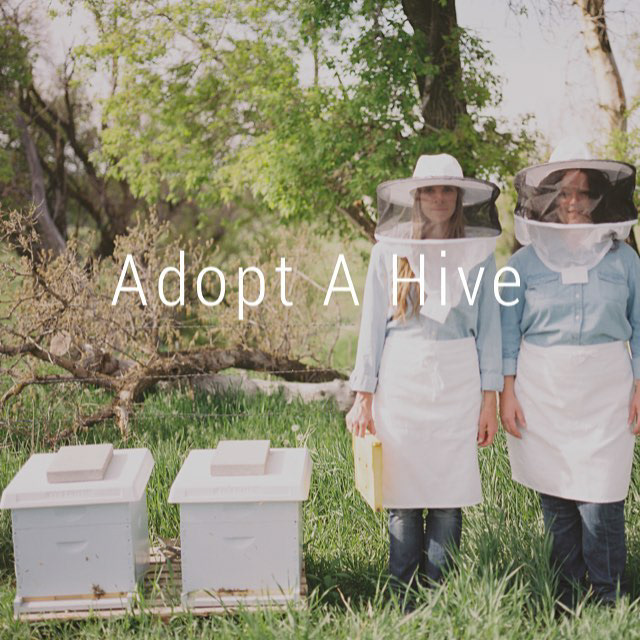 Give back to the bees