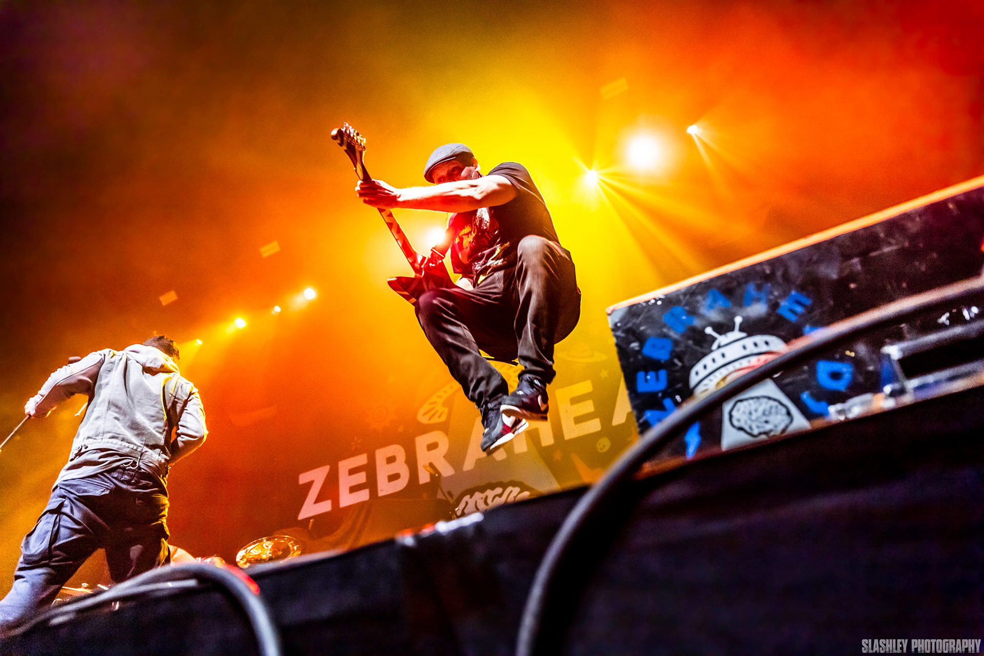 Zebrahead 2019