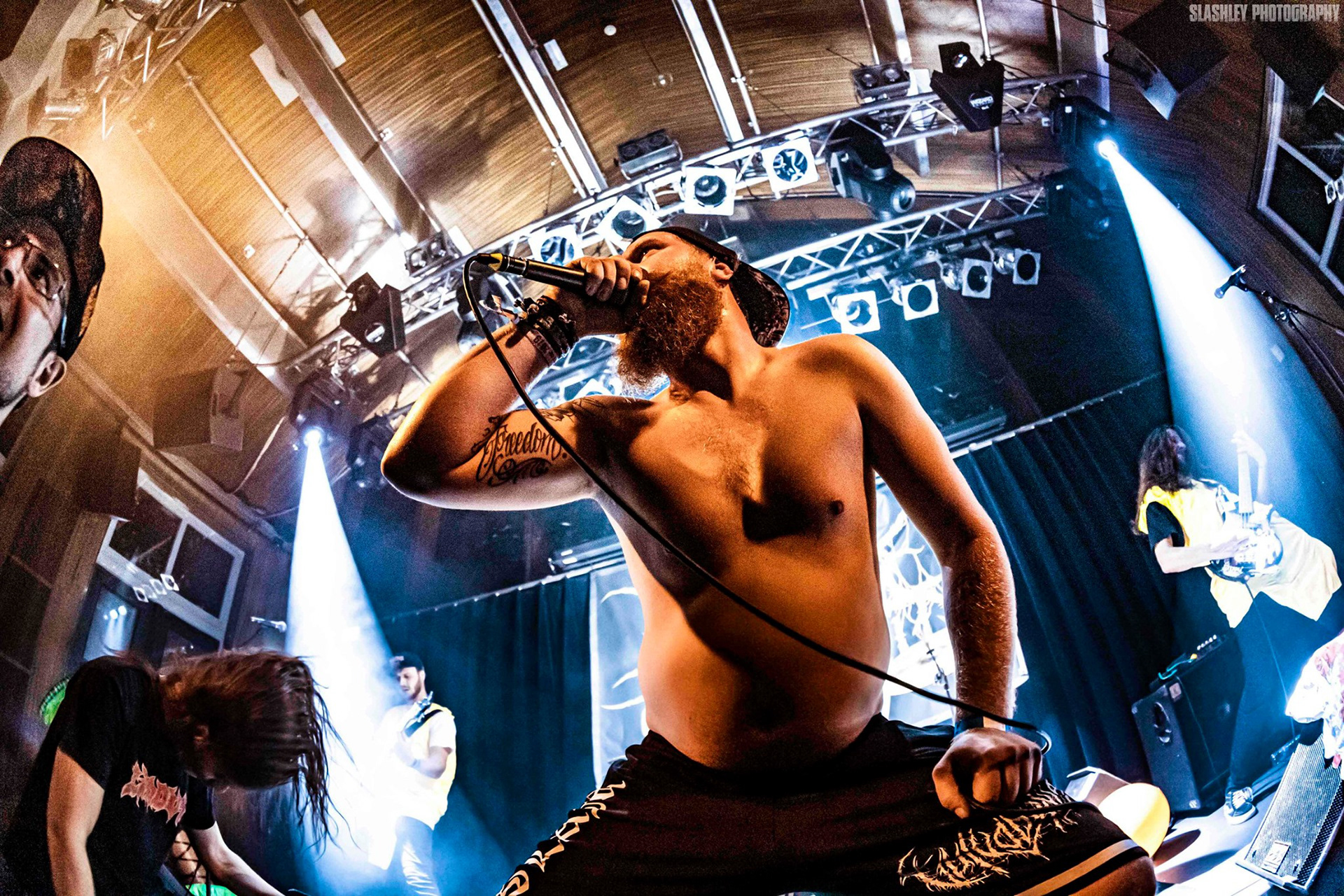 Bluewaffle Sauerkraut 2019