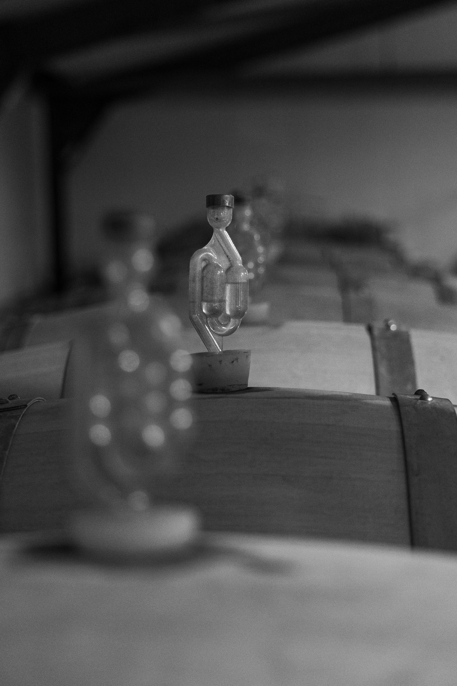 Monitoring the fermentation process