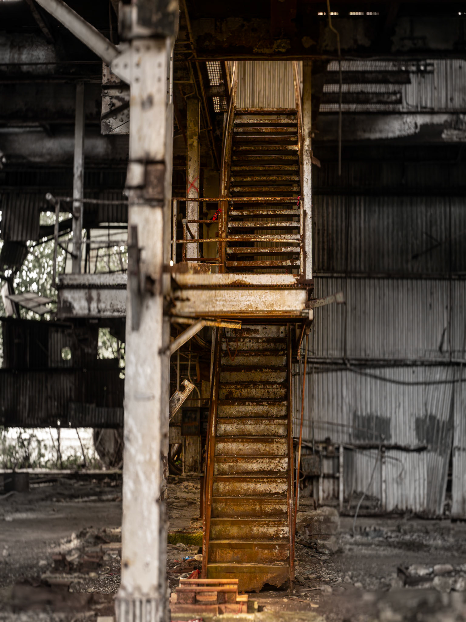 "Ponce 100" | 2024 | Photography