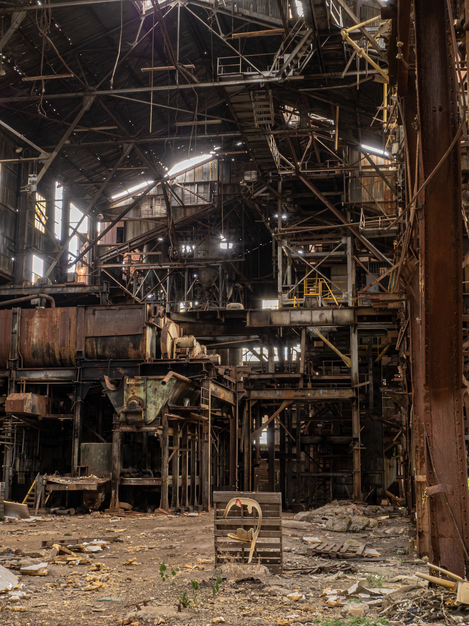 "Ponce 100" | 2024 | Photography