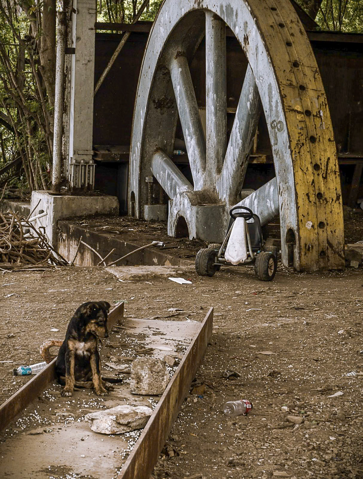 "Guanica 376" | 2024 | Photography