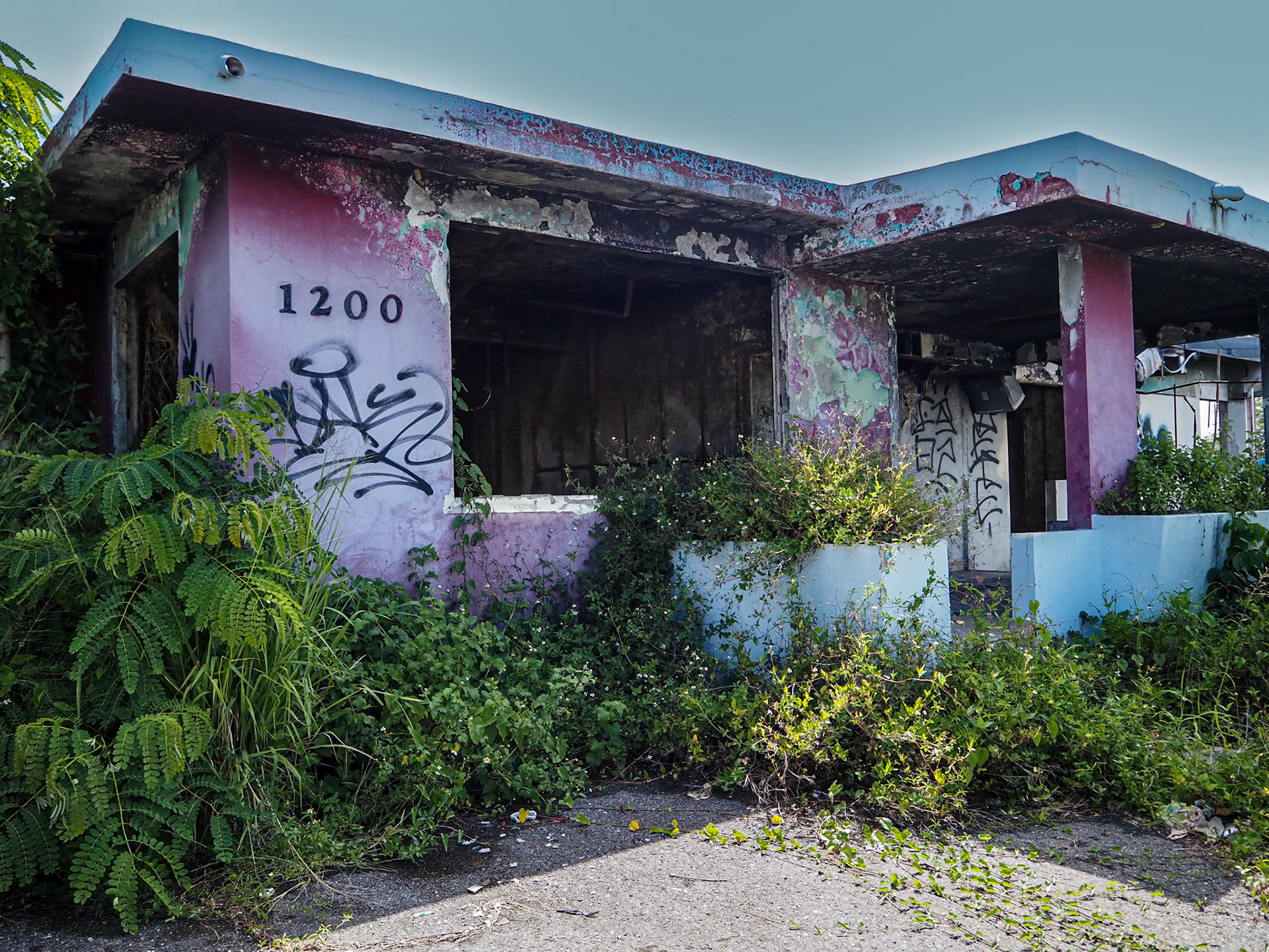 "Carolina 1200" | 2023 | Photography