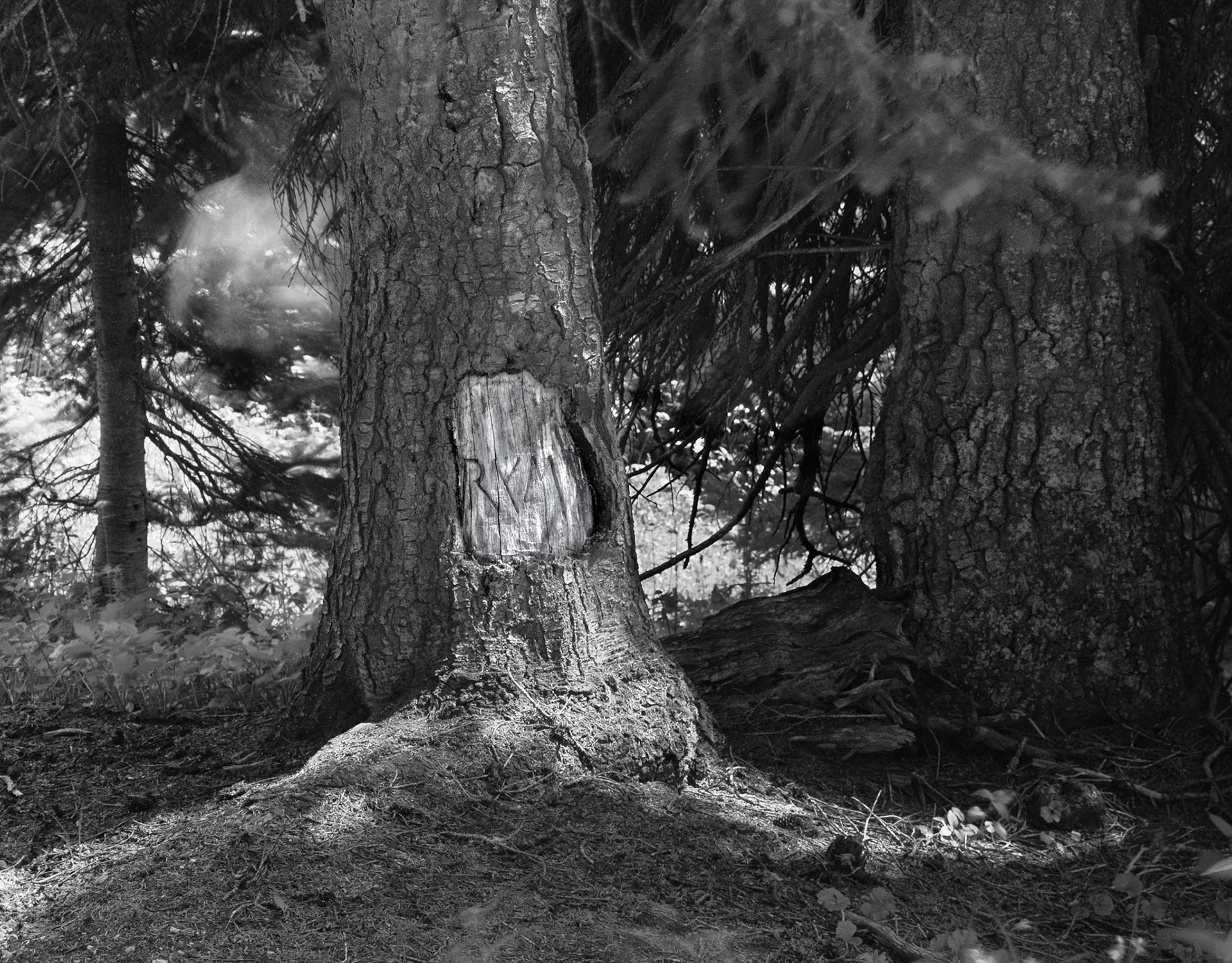 Detail of Memorial near Bob Mitchell Mountain