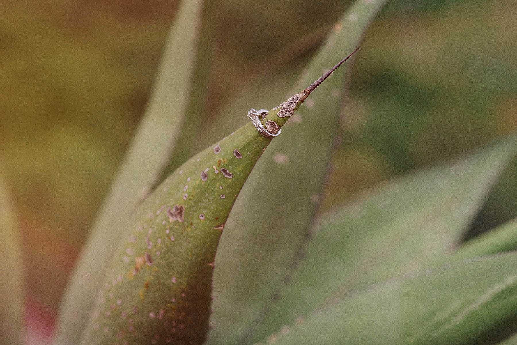 fotografo de bodas salamanca