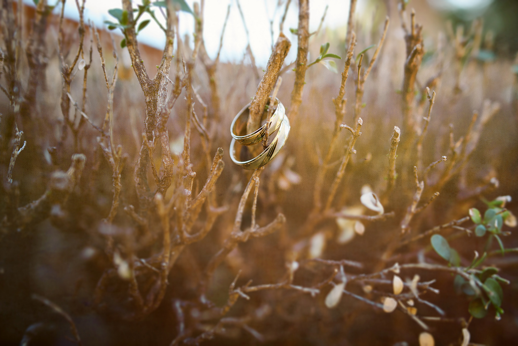 fotografo de bodas valle De Santiago 