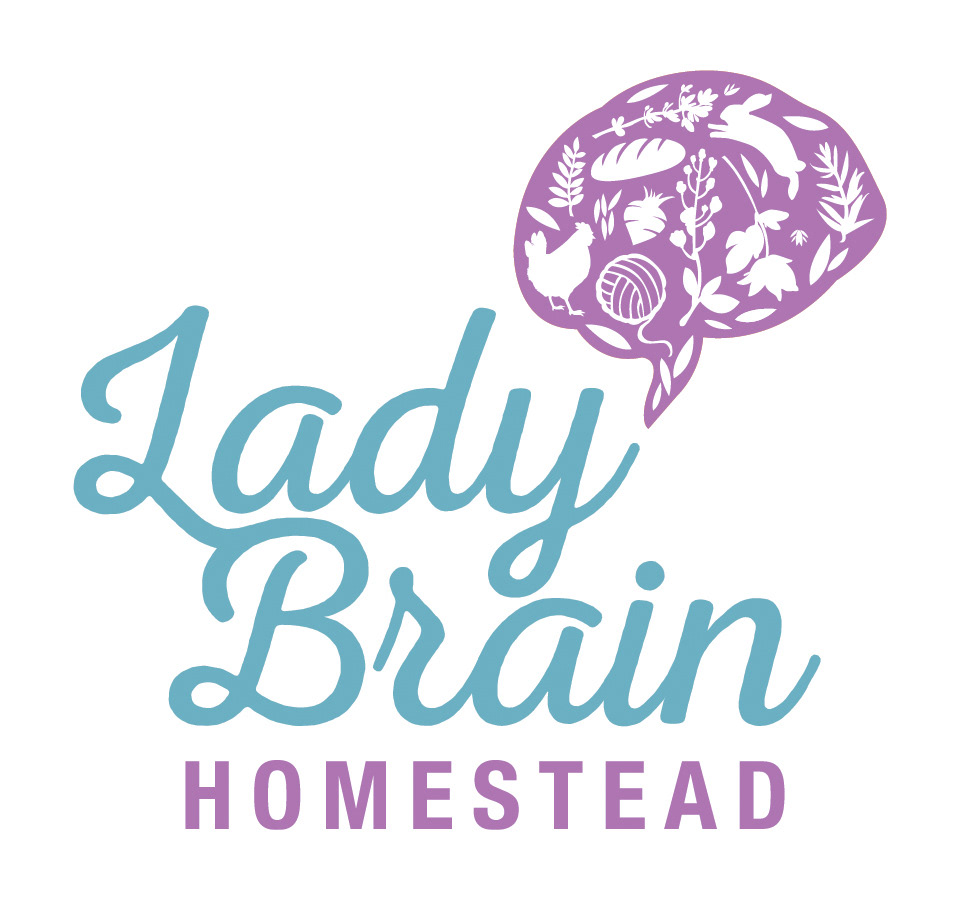Lady Brain Homestead  |  Colorado Springs, CO