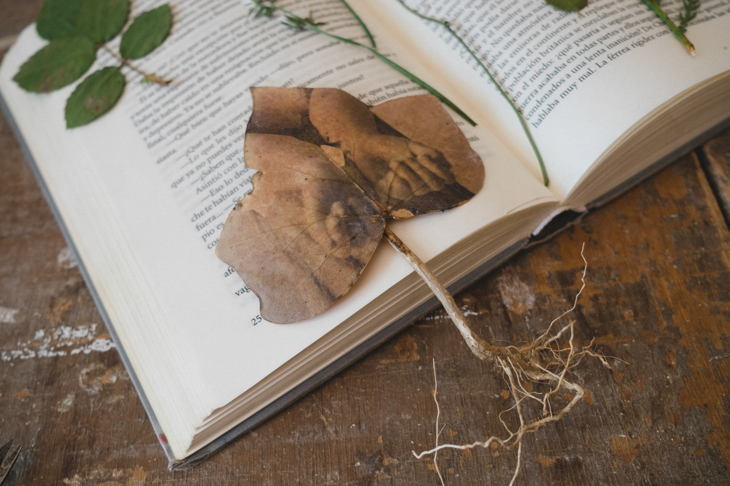 Arte para el cortometraje "El libro"