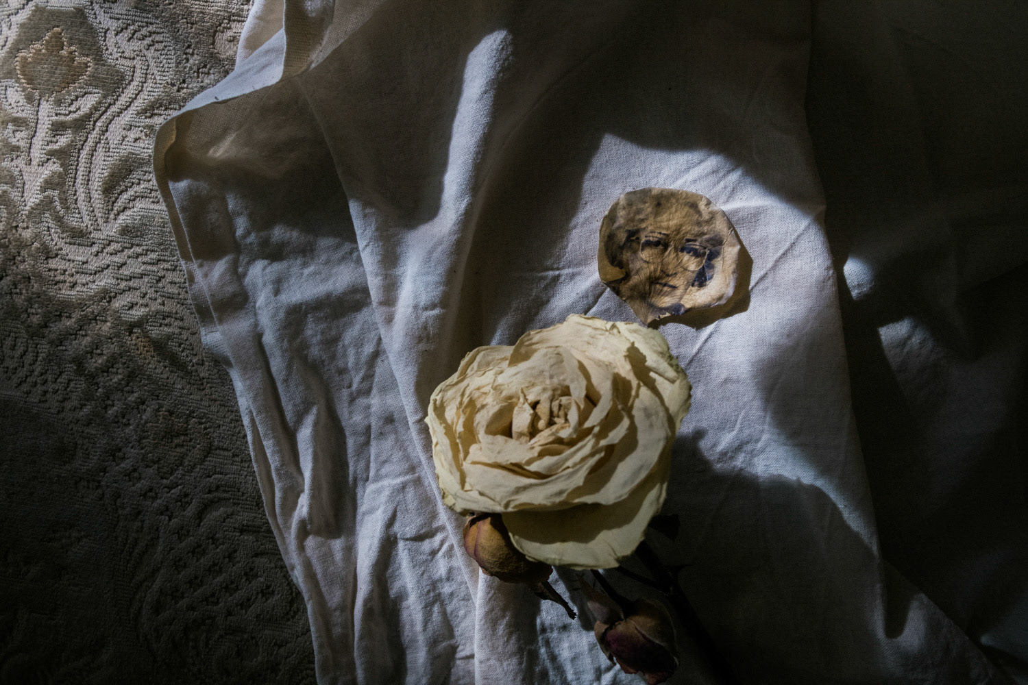 Arte para el cortometraje "El libro"