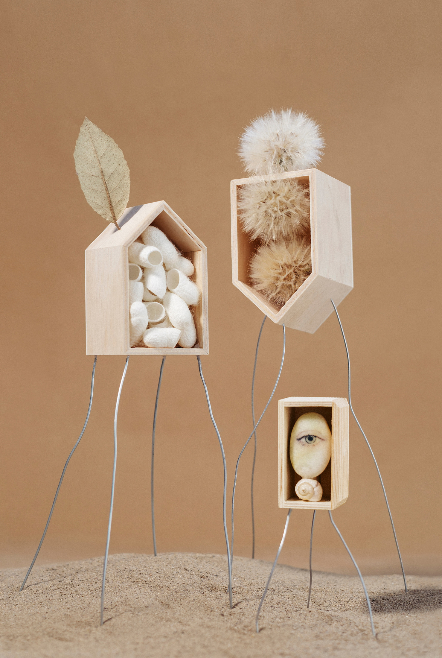 Imagen para la 37 Feria de Huesca