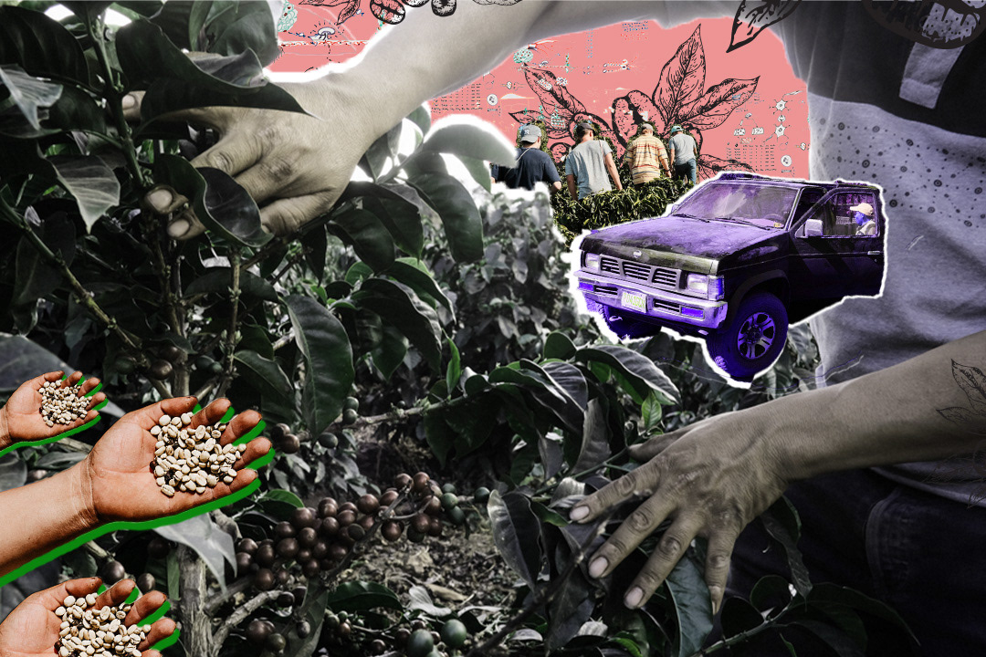 Commissioned collage for Biota Coffee social media