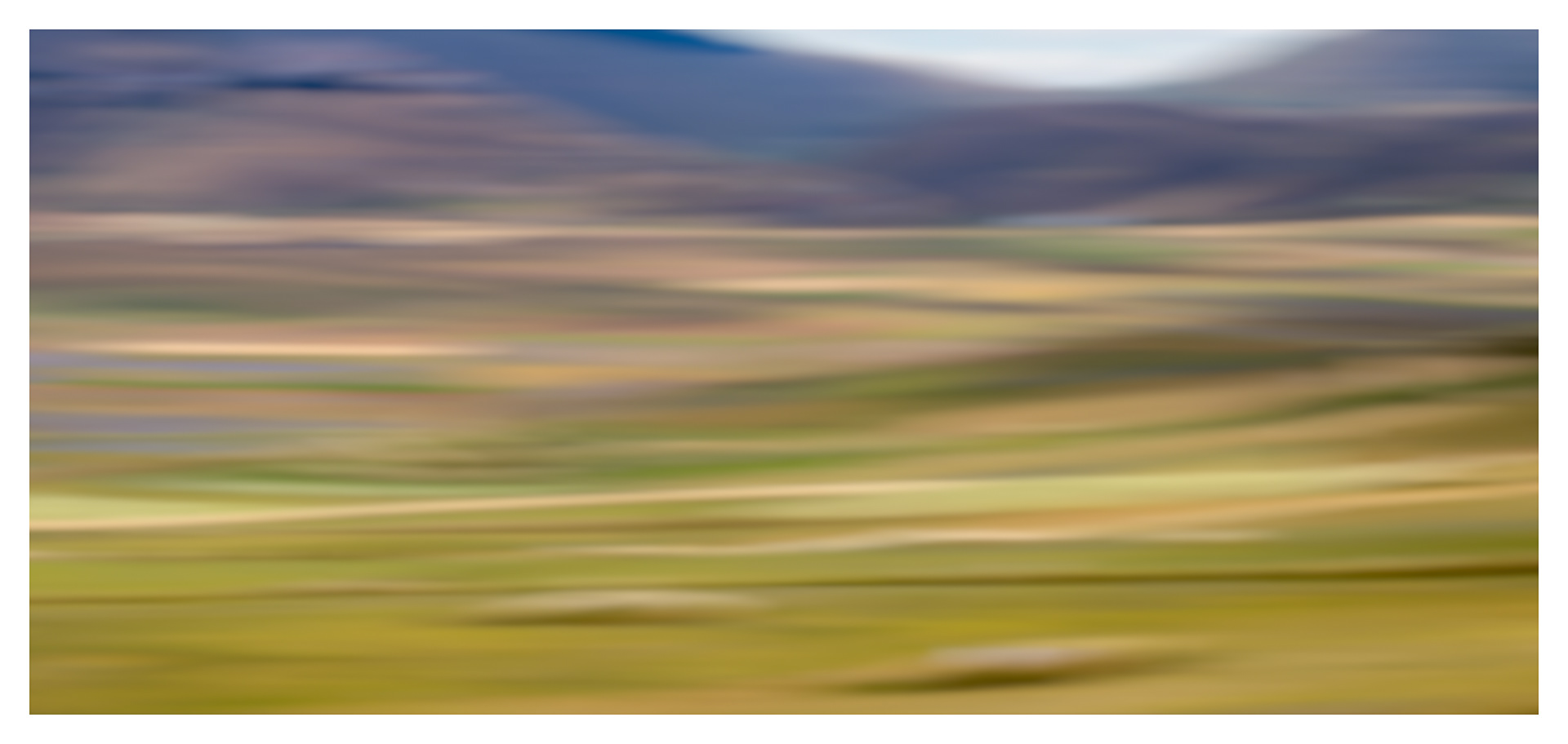Poppy fields, Castelluccio, Italy