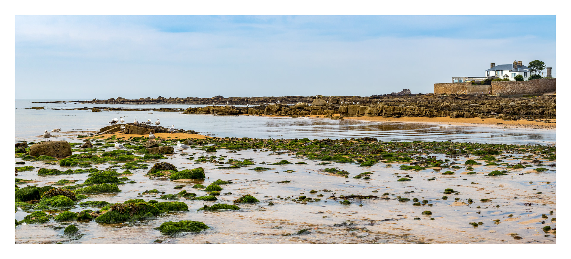 The beach, Anstruther, Fife at low tide