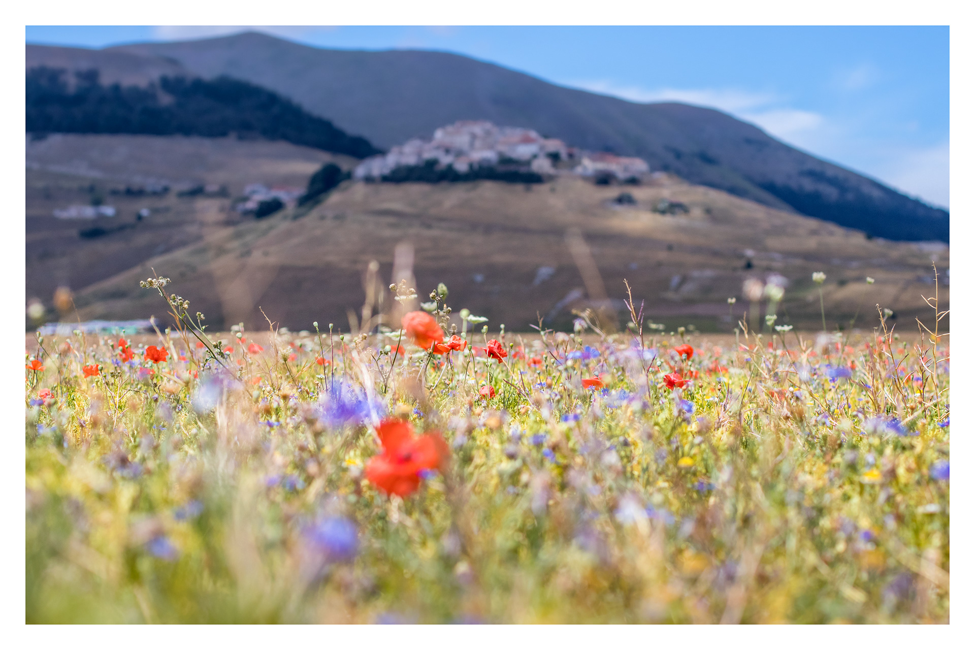 Castelluccio, Norcia