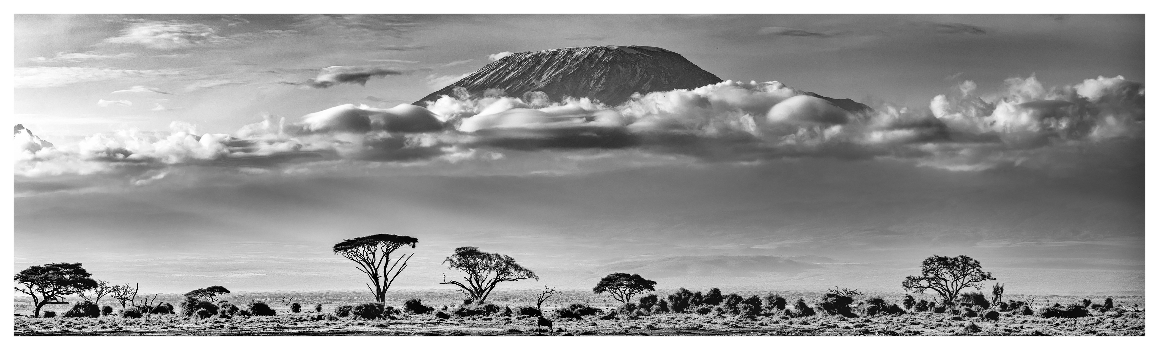 Mount Kilimanjaro early morning, Kenya